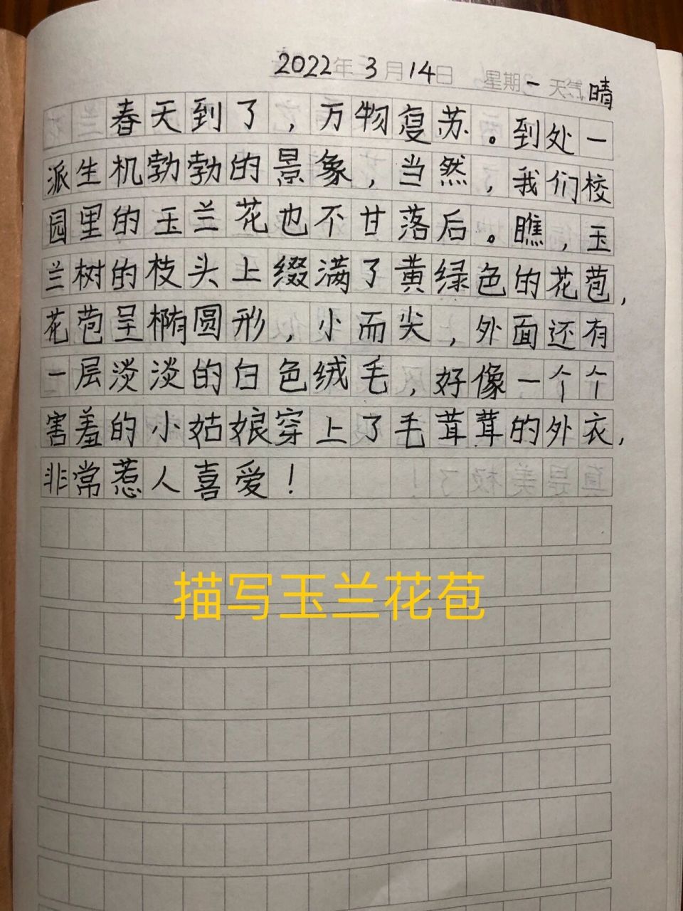 描写白玉兰图片