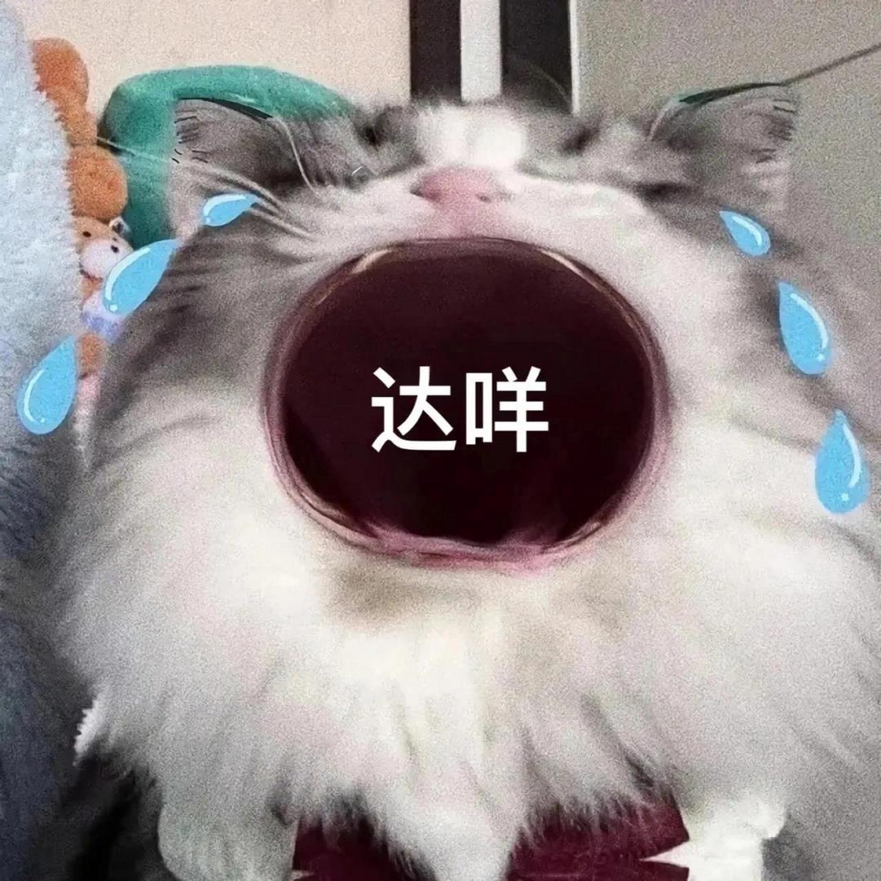 抱抱表情大全 抱抱表情大全