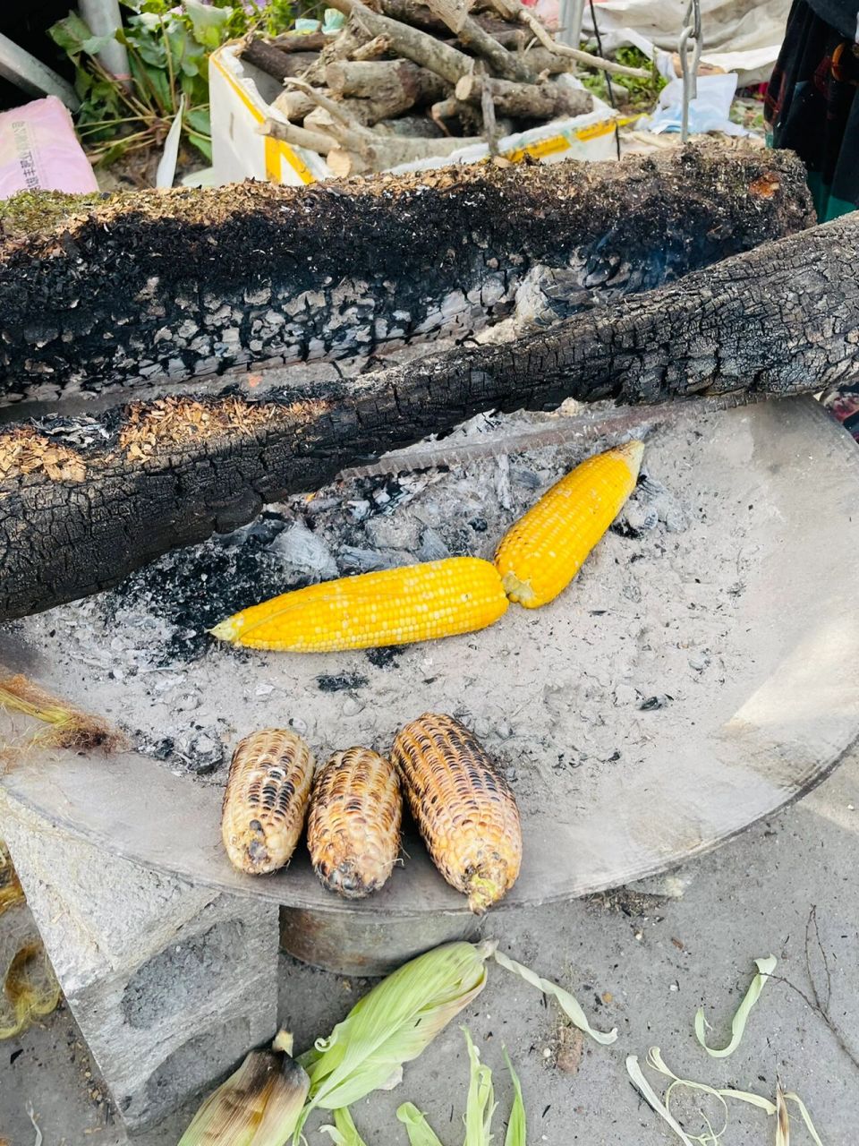 纯天然烧包谷,你吃过吗? 刚从地里搬来就烧的那种
