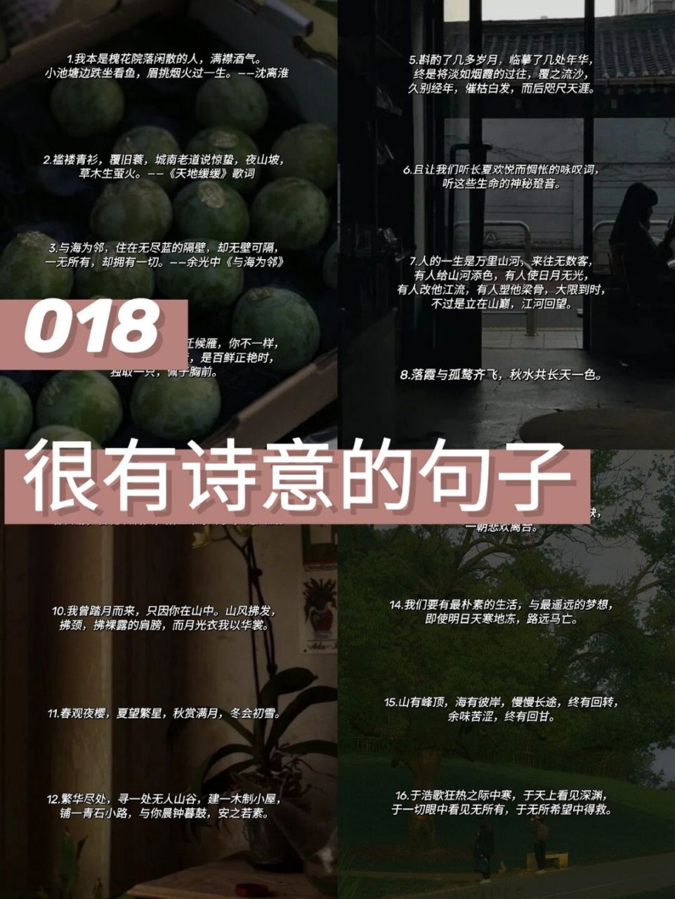 我本是槐花院落闲散的人,满襟酒气.小池塘边跌坐看鱼,眉挑烟火过一生.