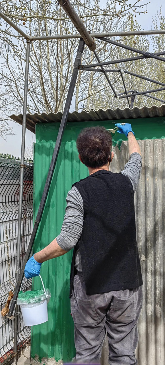 从多大开始就不爱过生日了?