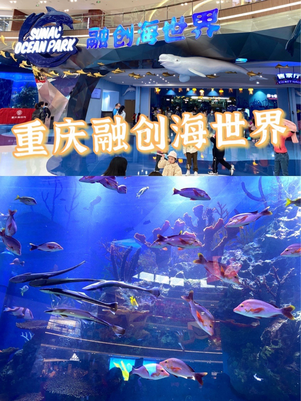 想小小娱乐休闲的伙伴们一定不能错过重庆融创文旅城!