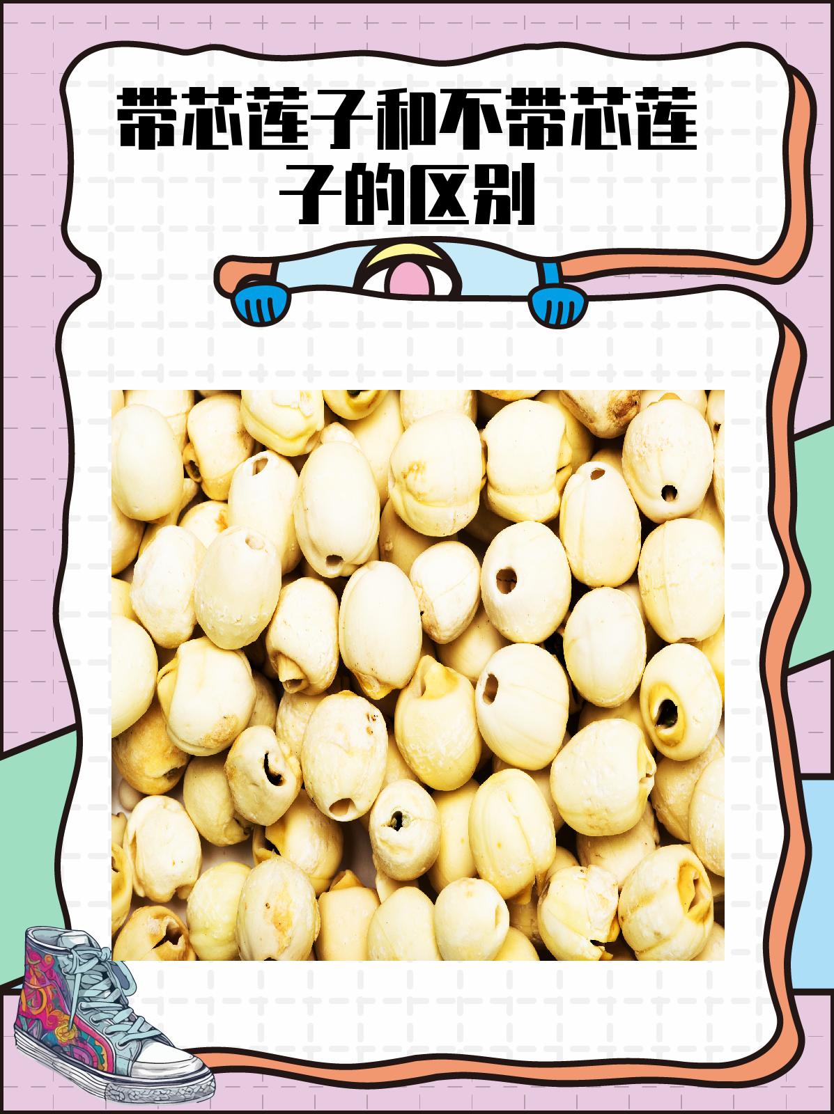 带芯莲子和不带芯莲子的区别