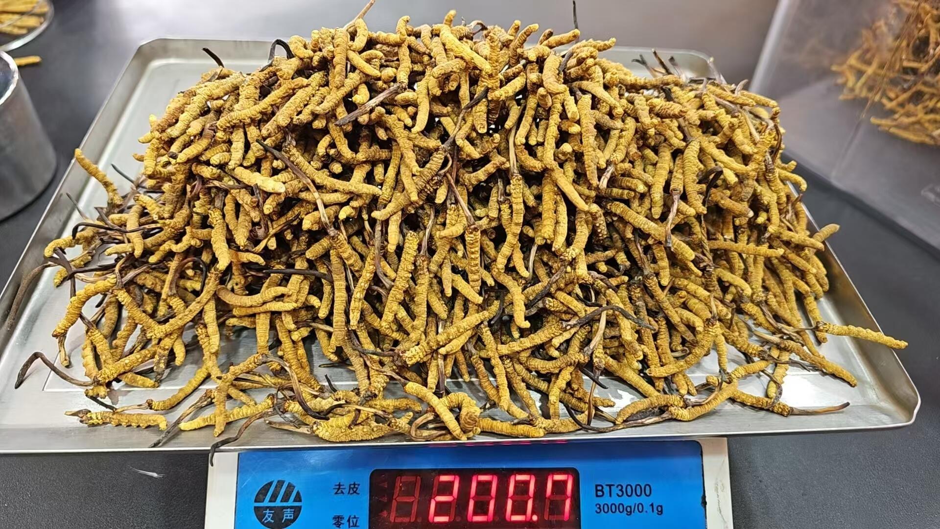 这款极品冬虫夏草小草200克礼盒装,不仅是一份健康的馈赠,更是一份