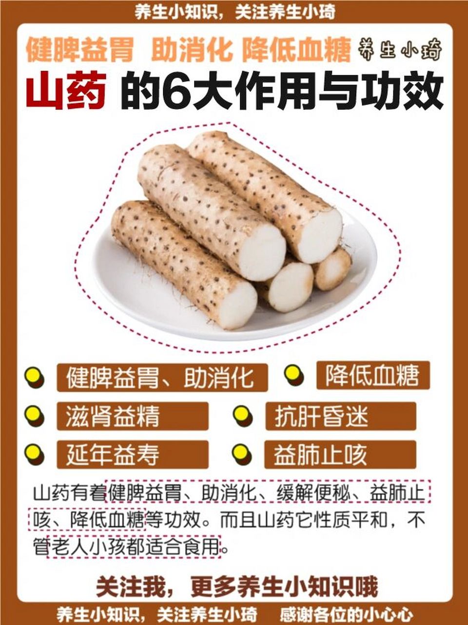 长山药的作用与功效图片