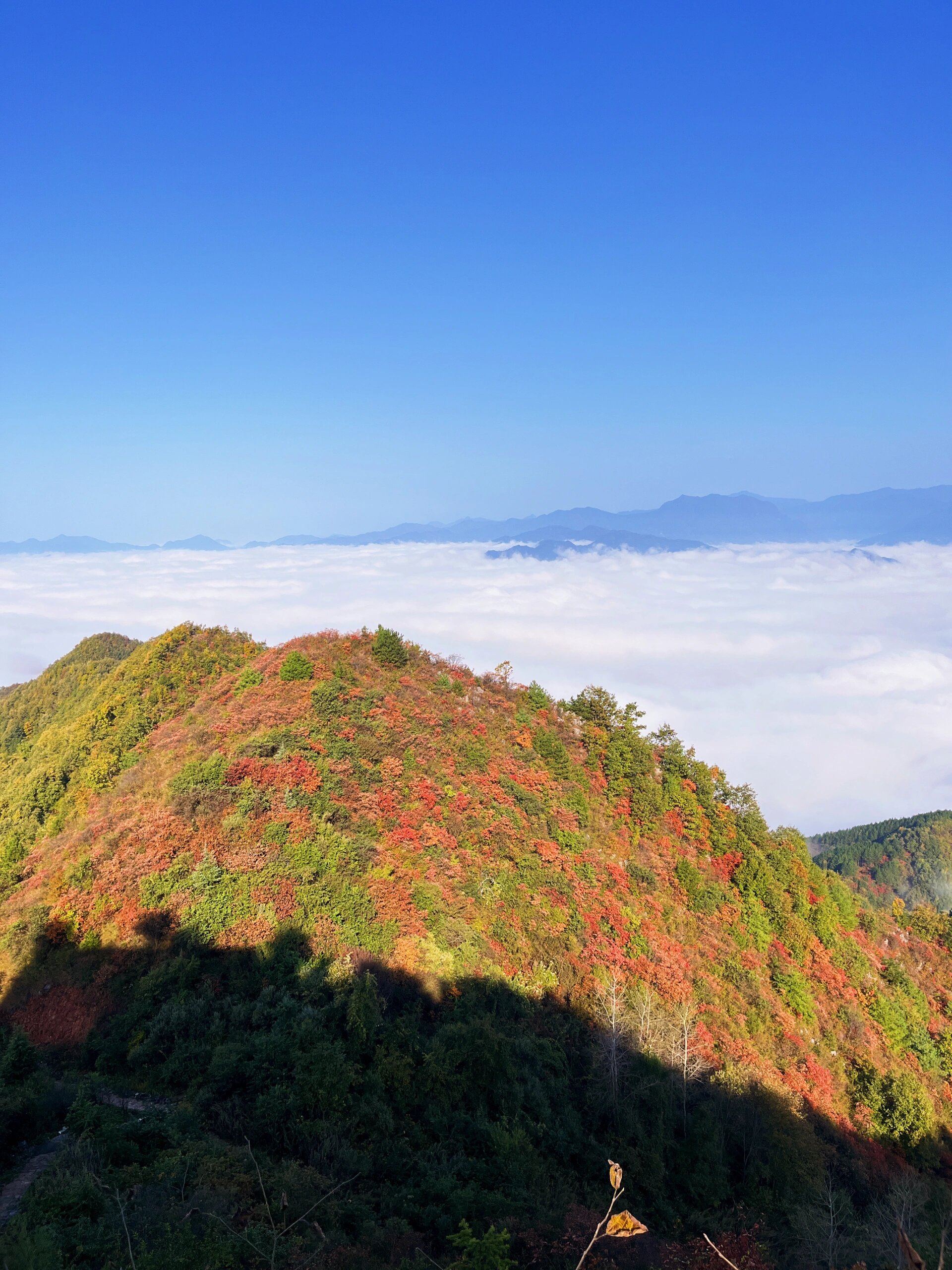 镇安海棠山|向云端,秋日云海