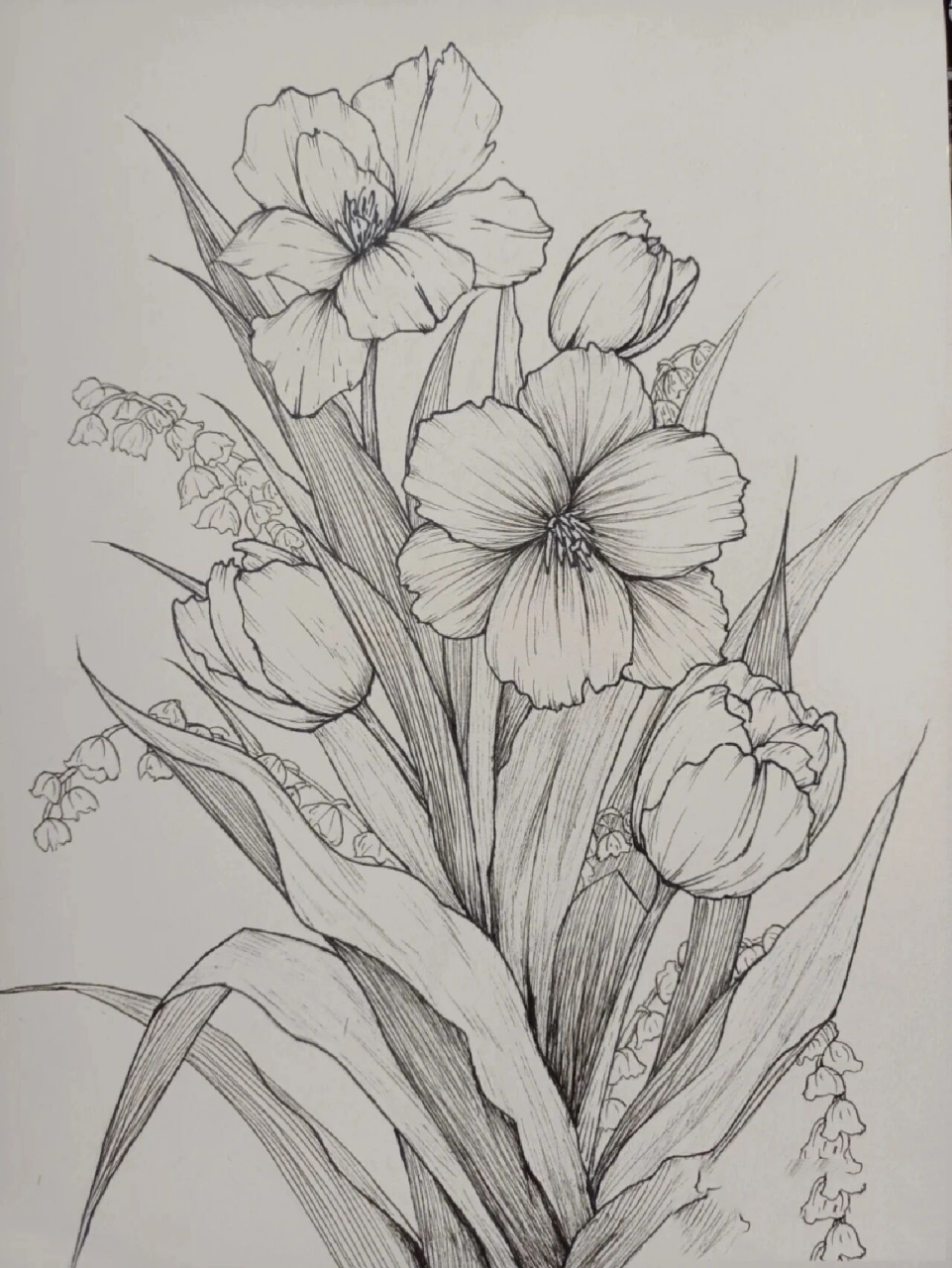 20|100植物线描速写 临摹 水笔画线条的时候速度要快,尽量不要在纸上