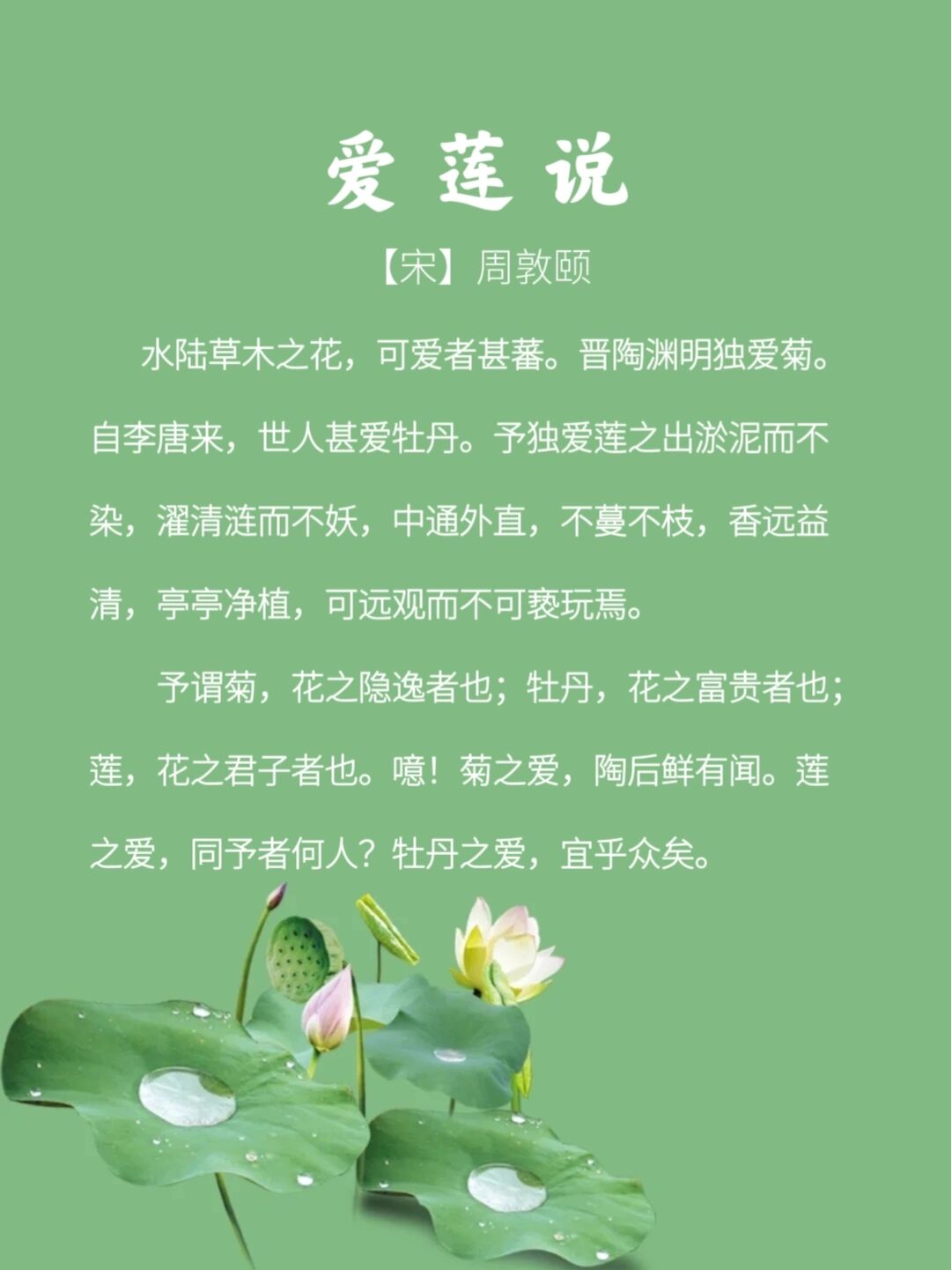 《爱莲说》
