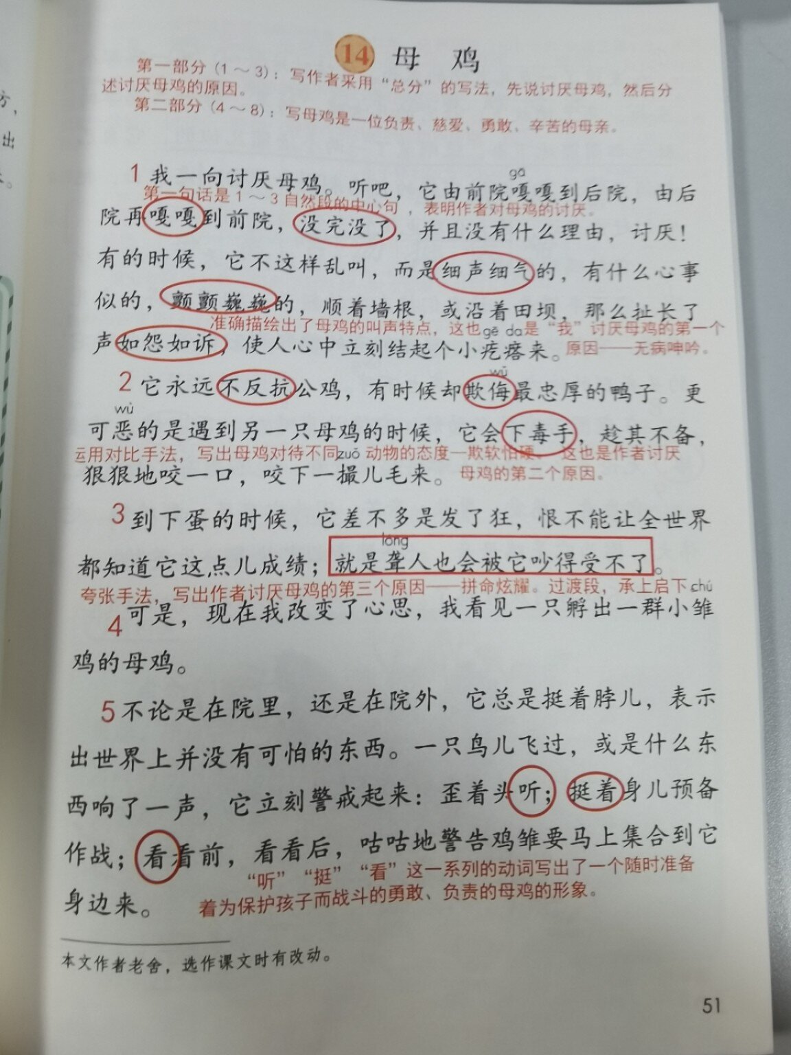 母鸡课文批注图片图片