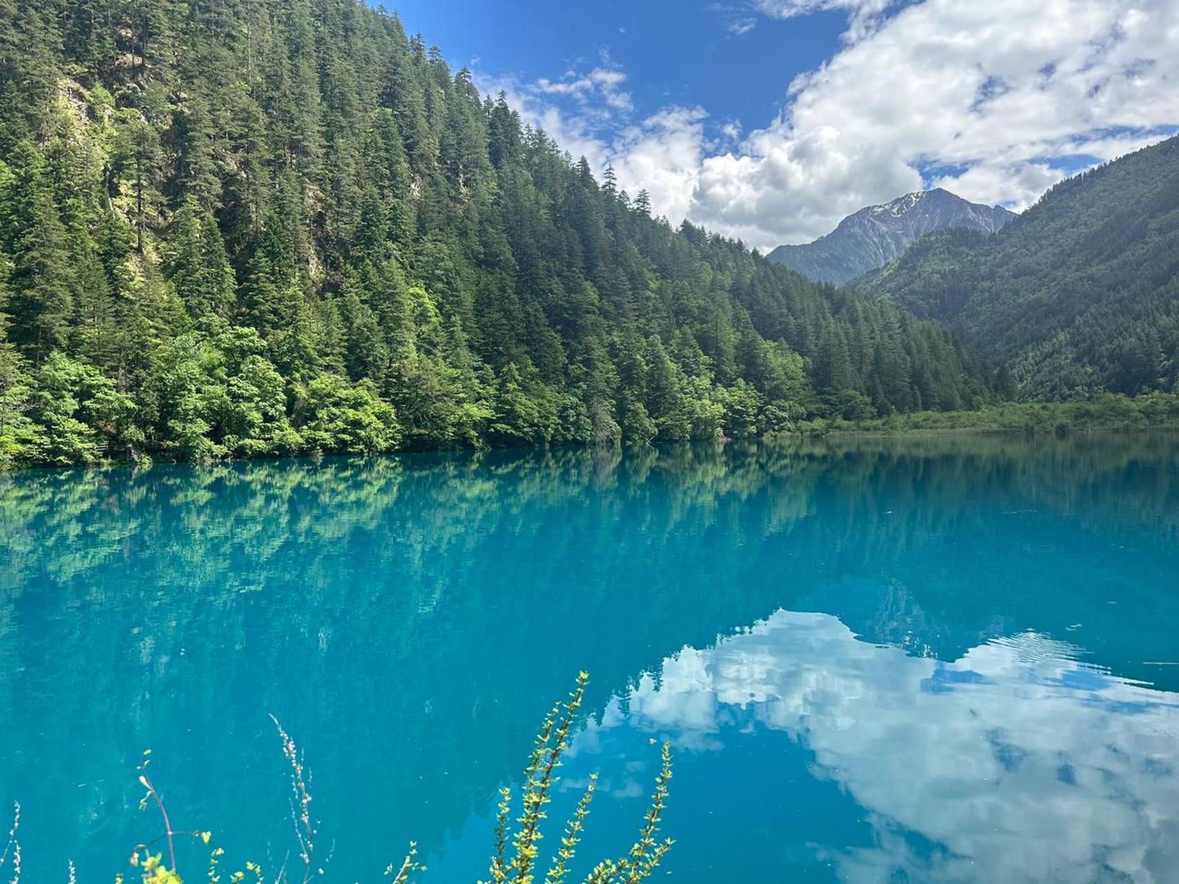 一张图记录夏日生活记录夏日的美景 感受夏季的风景