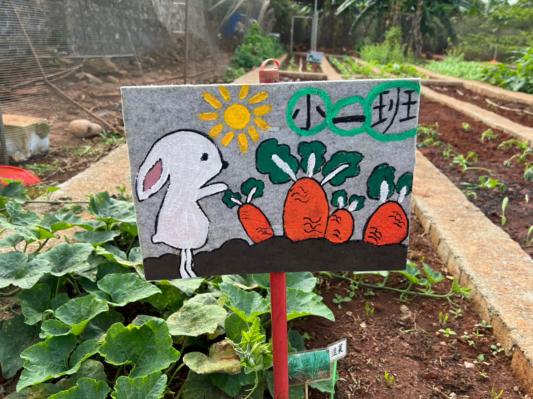 【菜牌设计】大班手绘菜地菜牌 【菜牌设计】大班手绘菜地菜牌