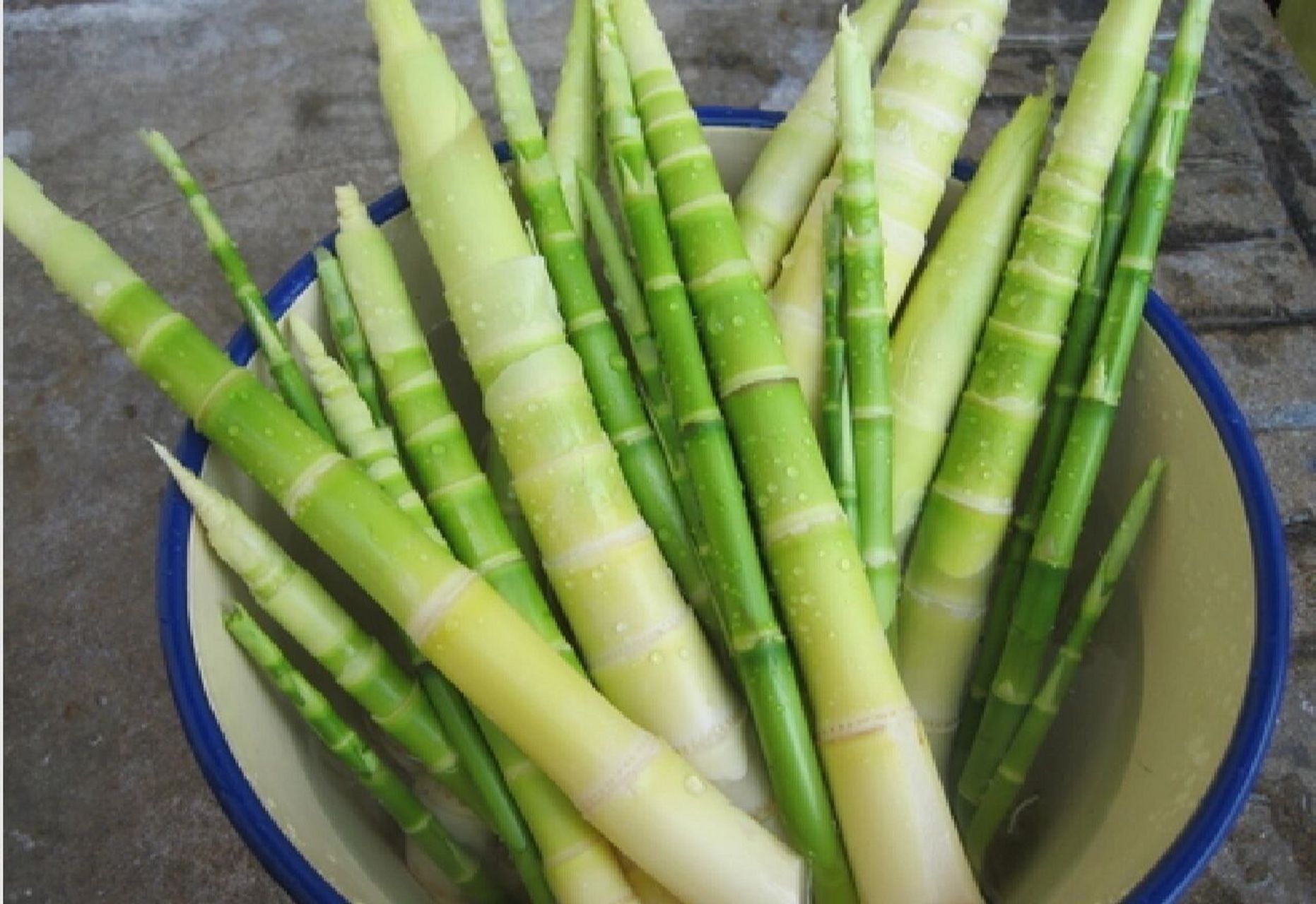 食物营养—春笋 春笋是三月的应季蔬菜,现在吃正好啦!