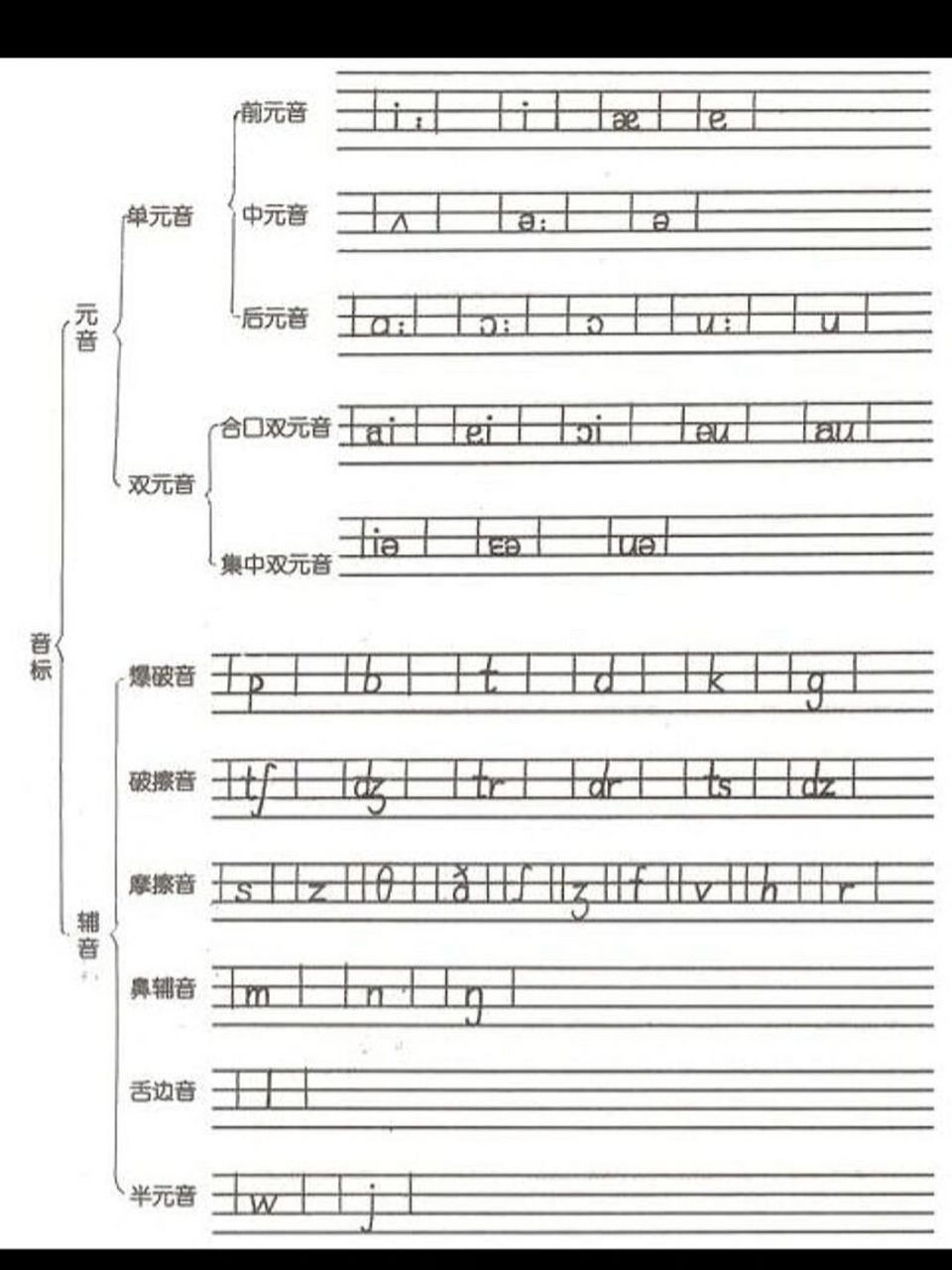 48个国际音标手写体 认读后可尝试书写练习 强化记忆