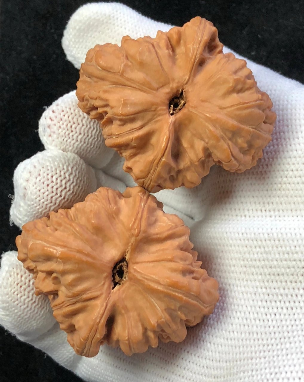 宽城核桃 又叫高欢狮子头 尺寸,36,42,38 窄边大肚,手感特别好,皮质