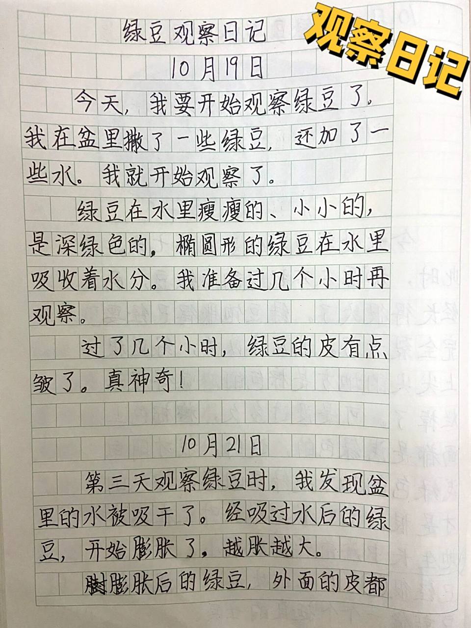 四年级上学期小学生作文记录观察绿豆的日记