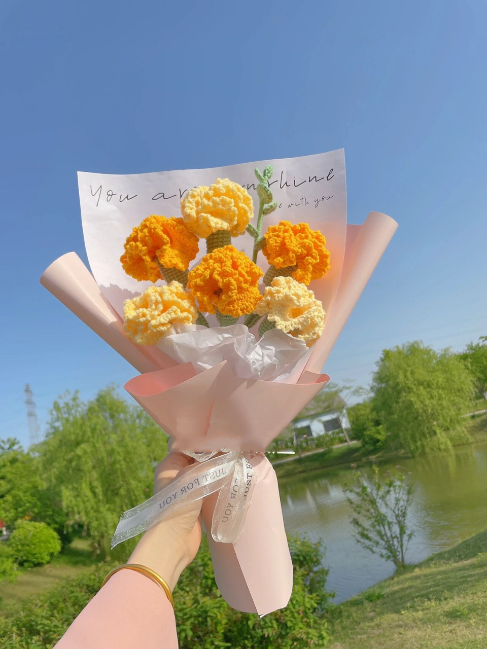 黄色渐变康乃馨实在也太奶气了7815附图解 黄色橘色在阳光下真的