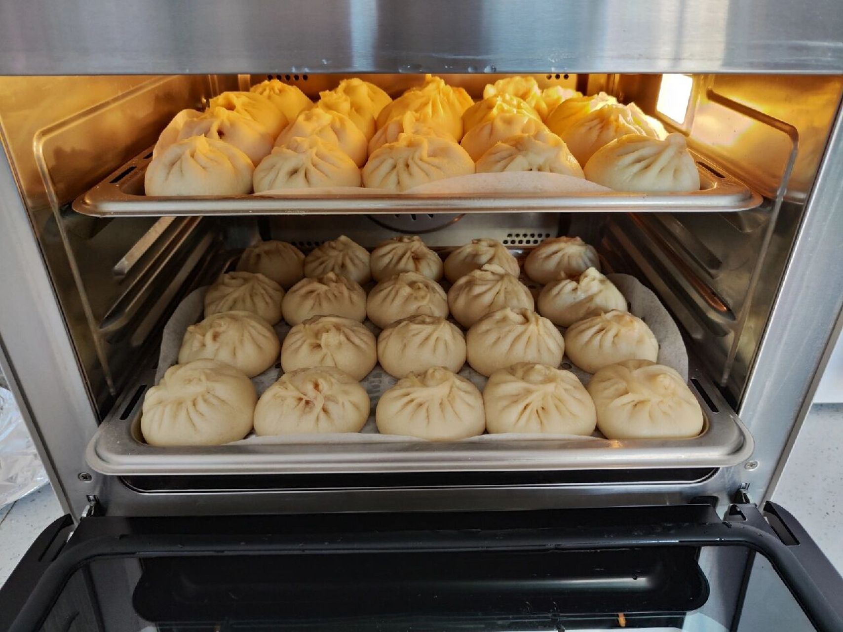 为什么用蒸箱蒸出来的包子表皮特别干 图1是蒸箱蒸的包子,都很好就是