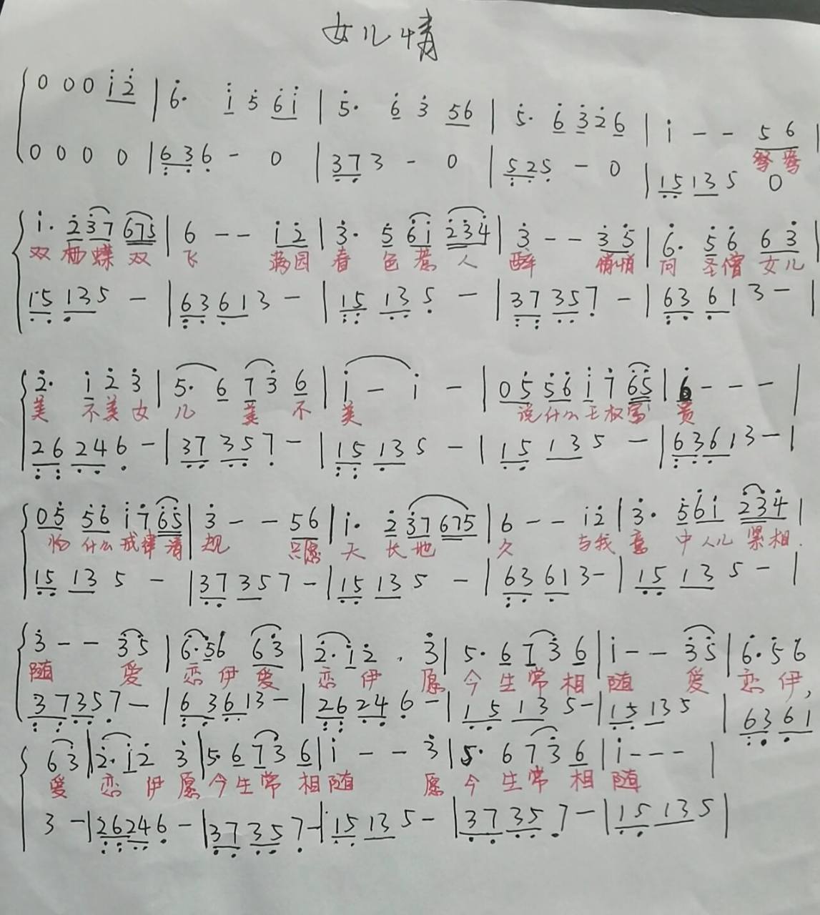 《女儿情》简谱 零基础自学中,请大家指教