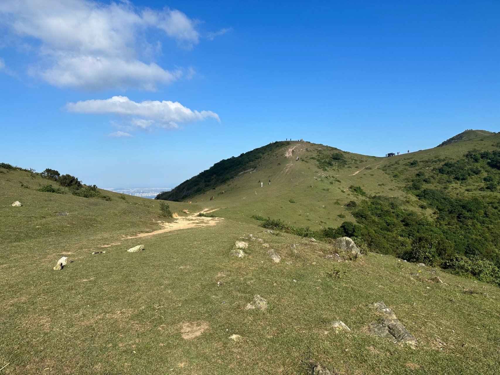 福州带狗玩/福清大姆山草场 狗生是旷野呀 狗狗属于大自然 去了一直想