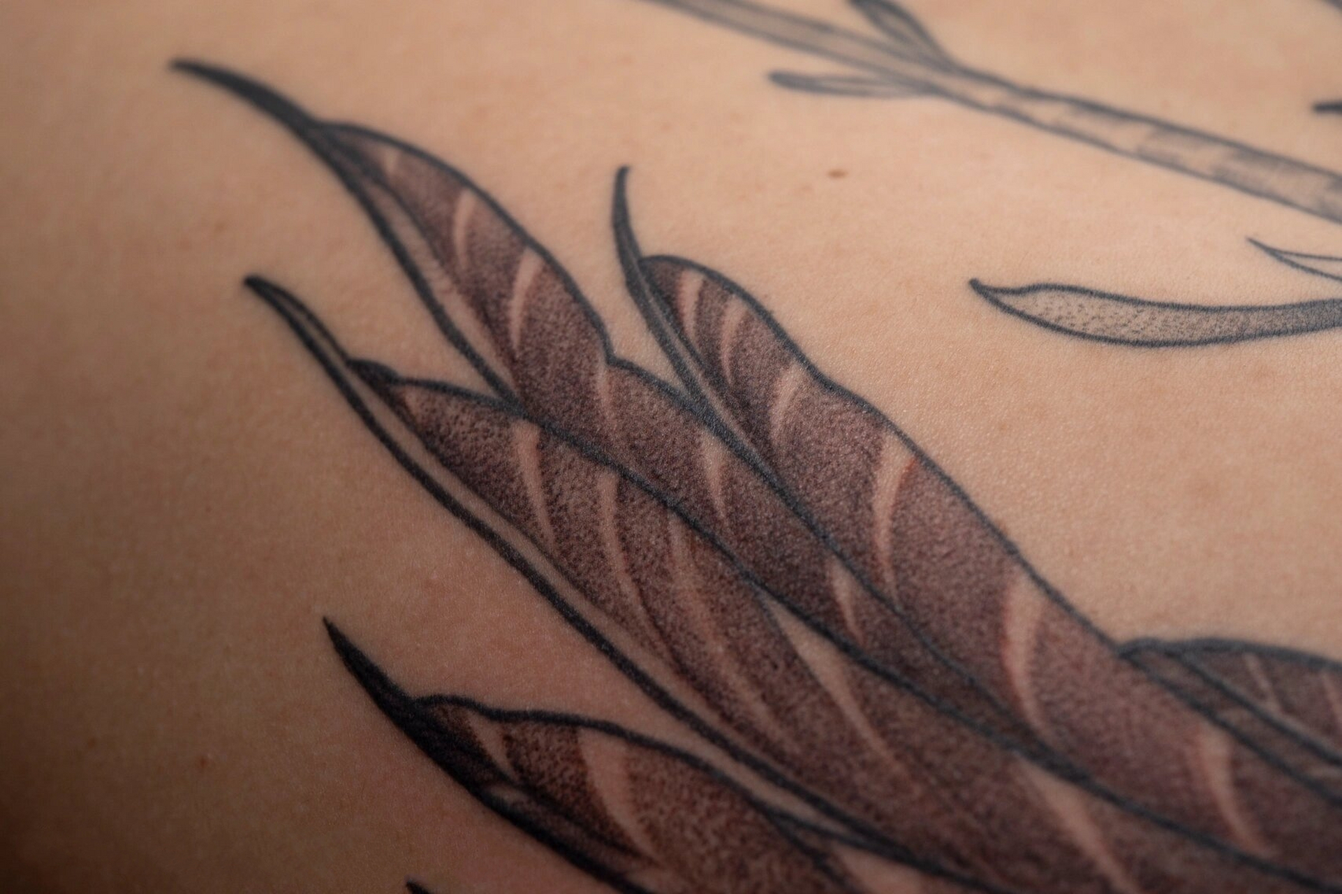 原创满背纹身 龙图腾纹身 羽翼纹身 满背纹身 创新创意设计纹身 完全