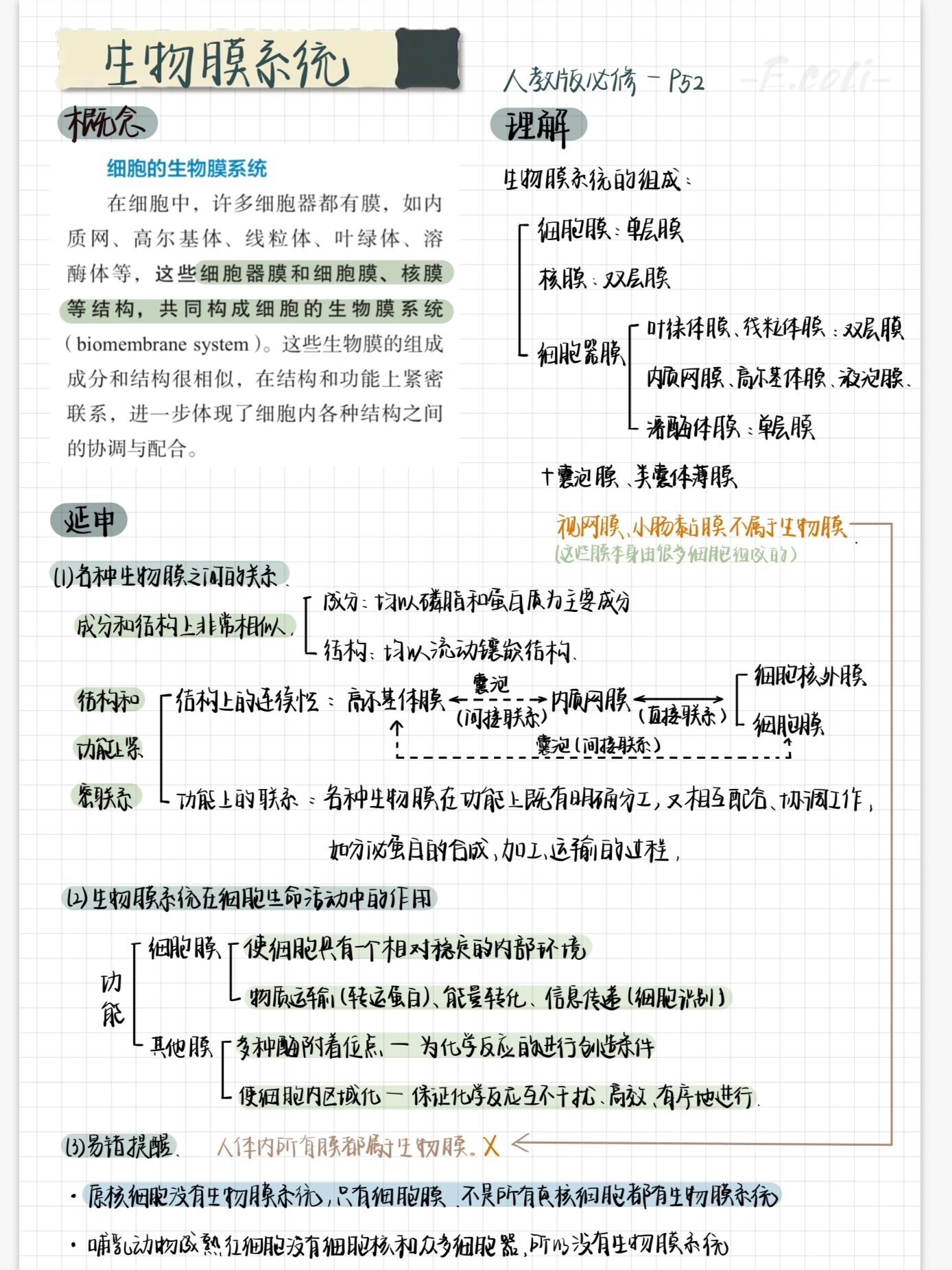 概念图策略名词解释图片