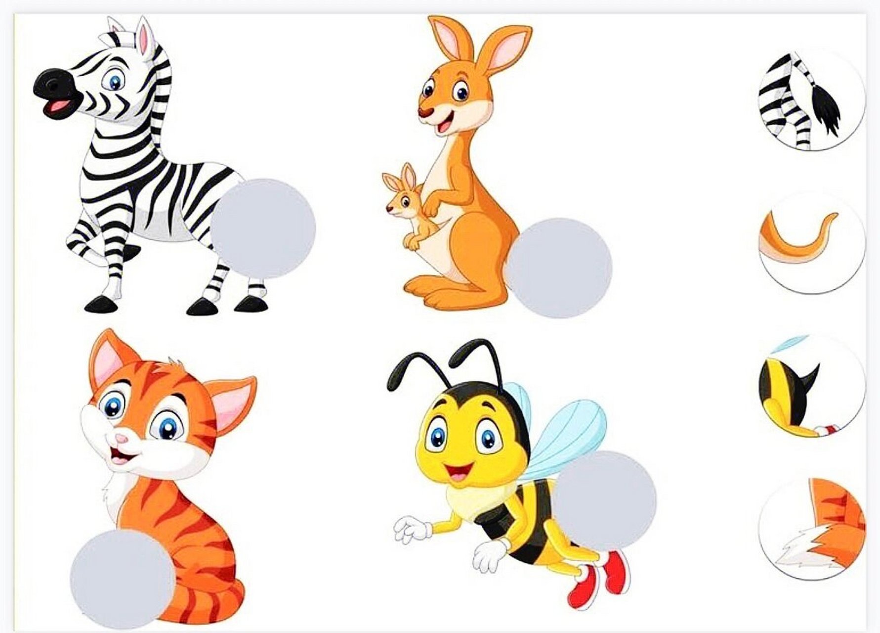 自制玩教具·动物找缺失73