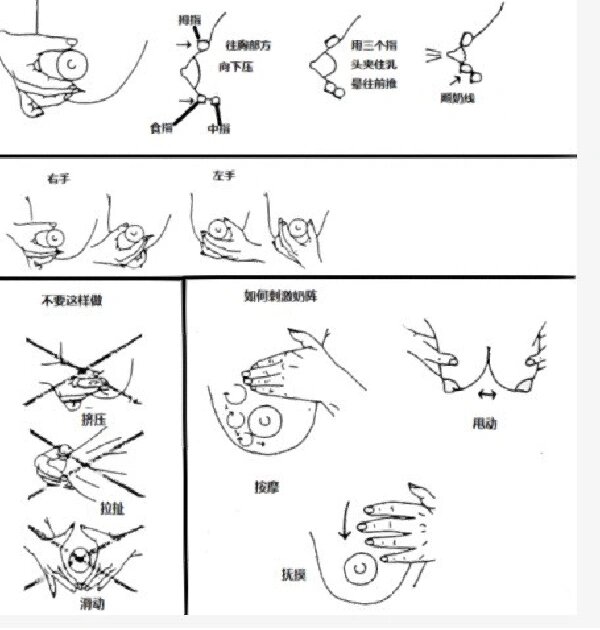 怎么用手挤奶图片