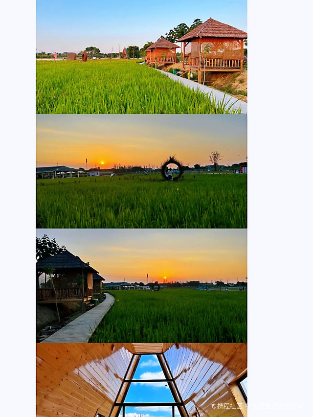 汕头澄海网红打卡地 隆都镇和美花海生态园