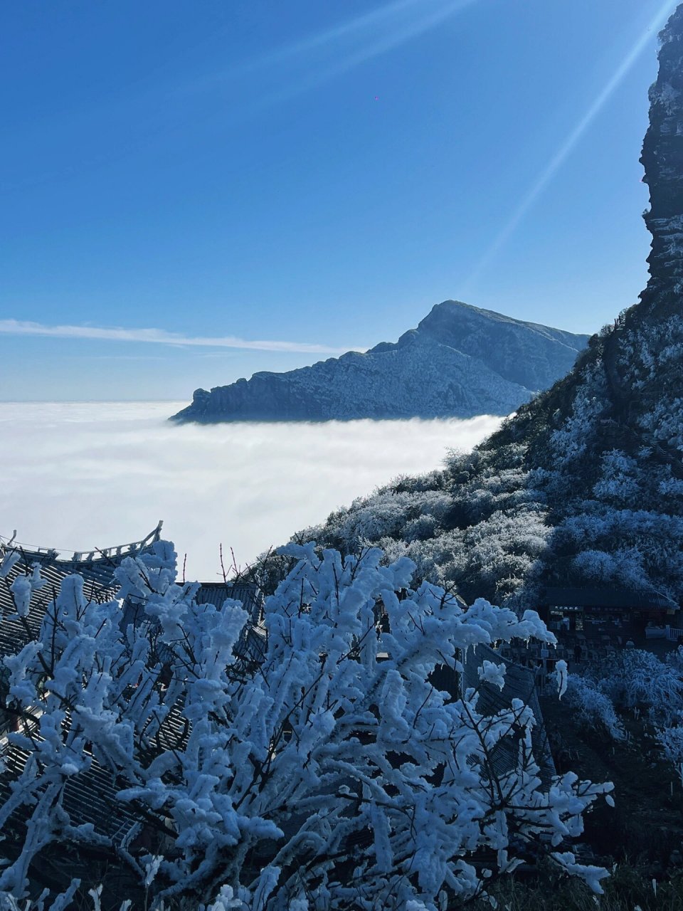 2020年梵净山雪景图片