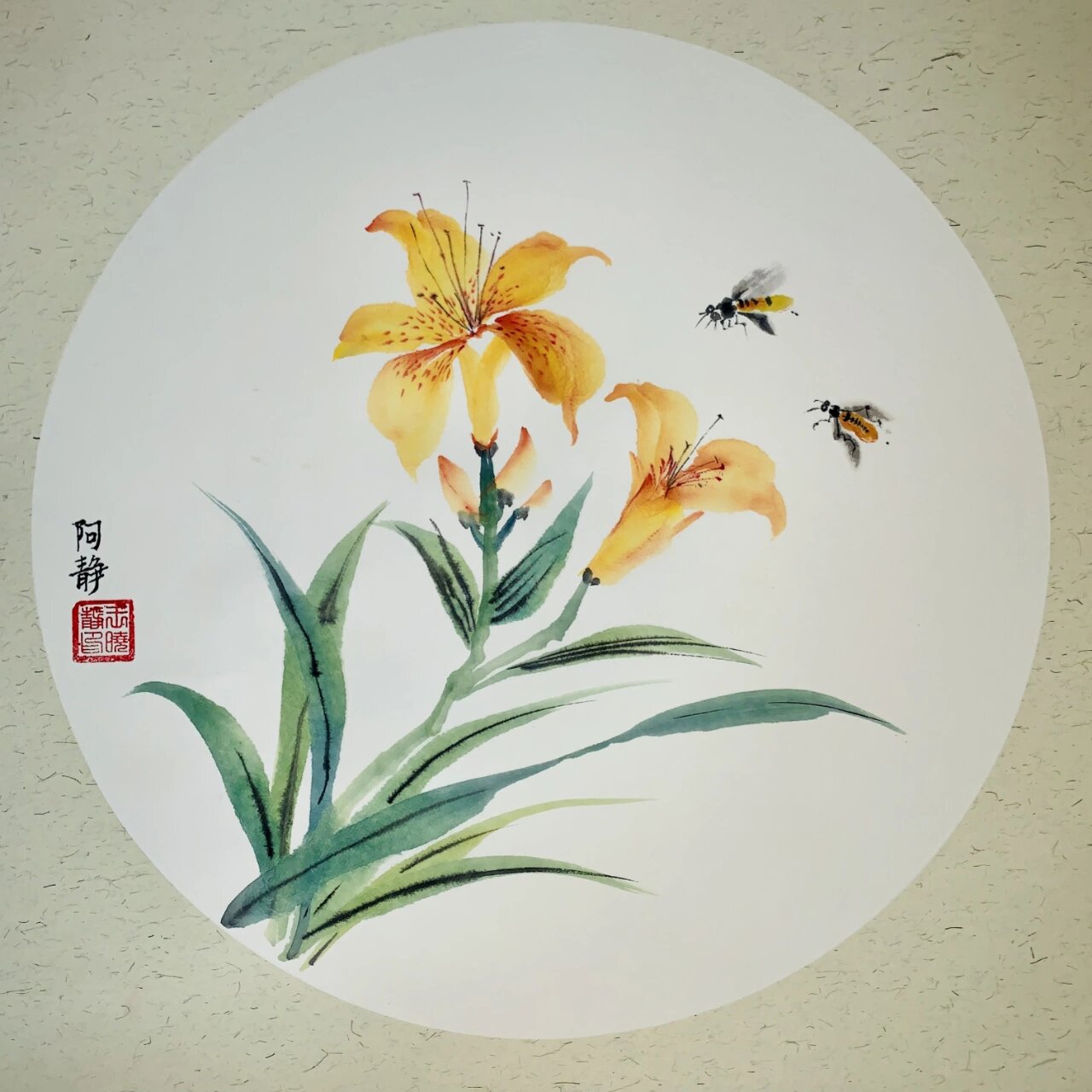 每日一画:忘忧草