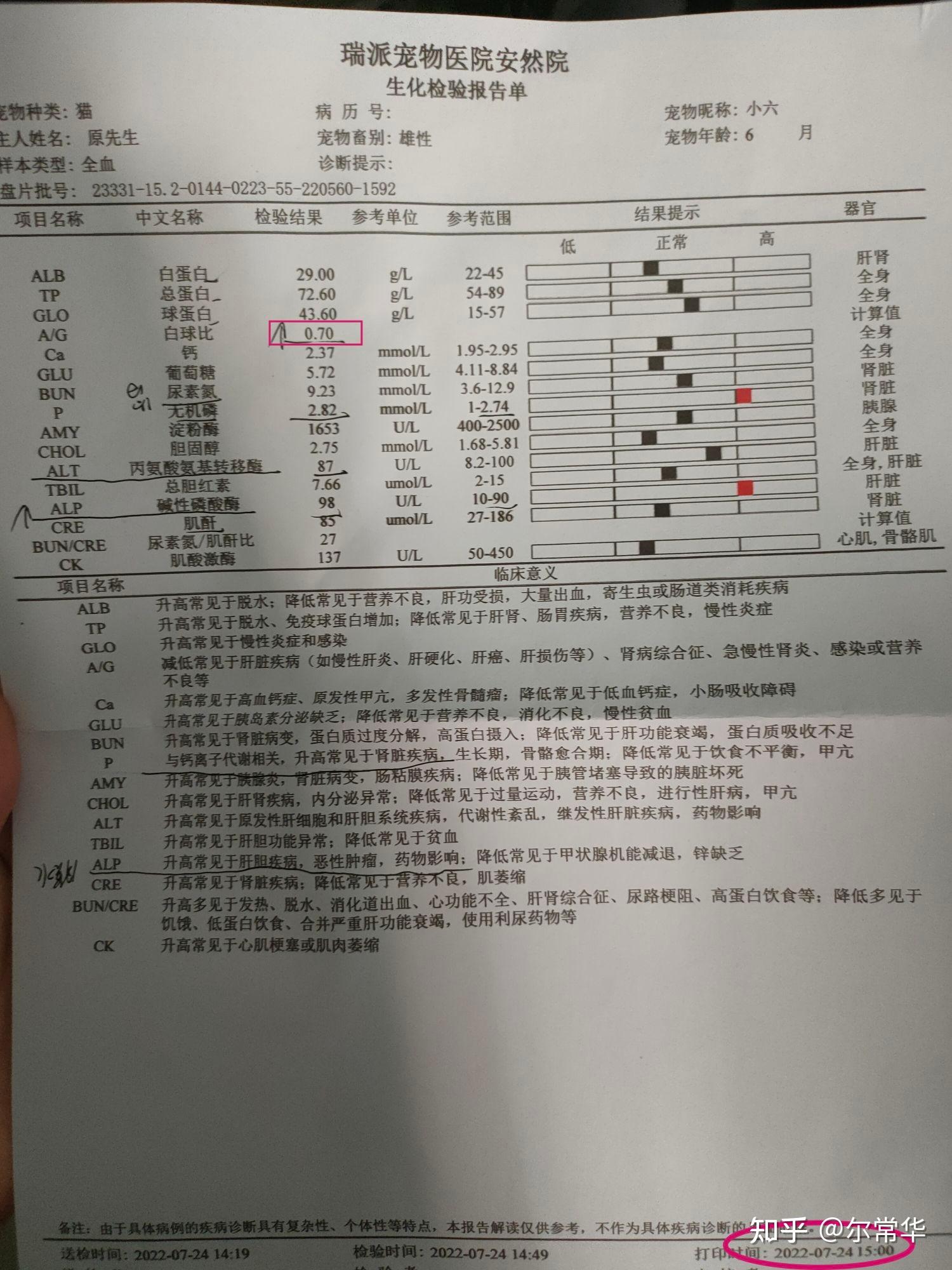 白球比偏高图片