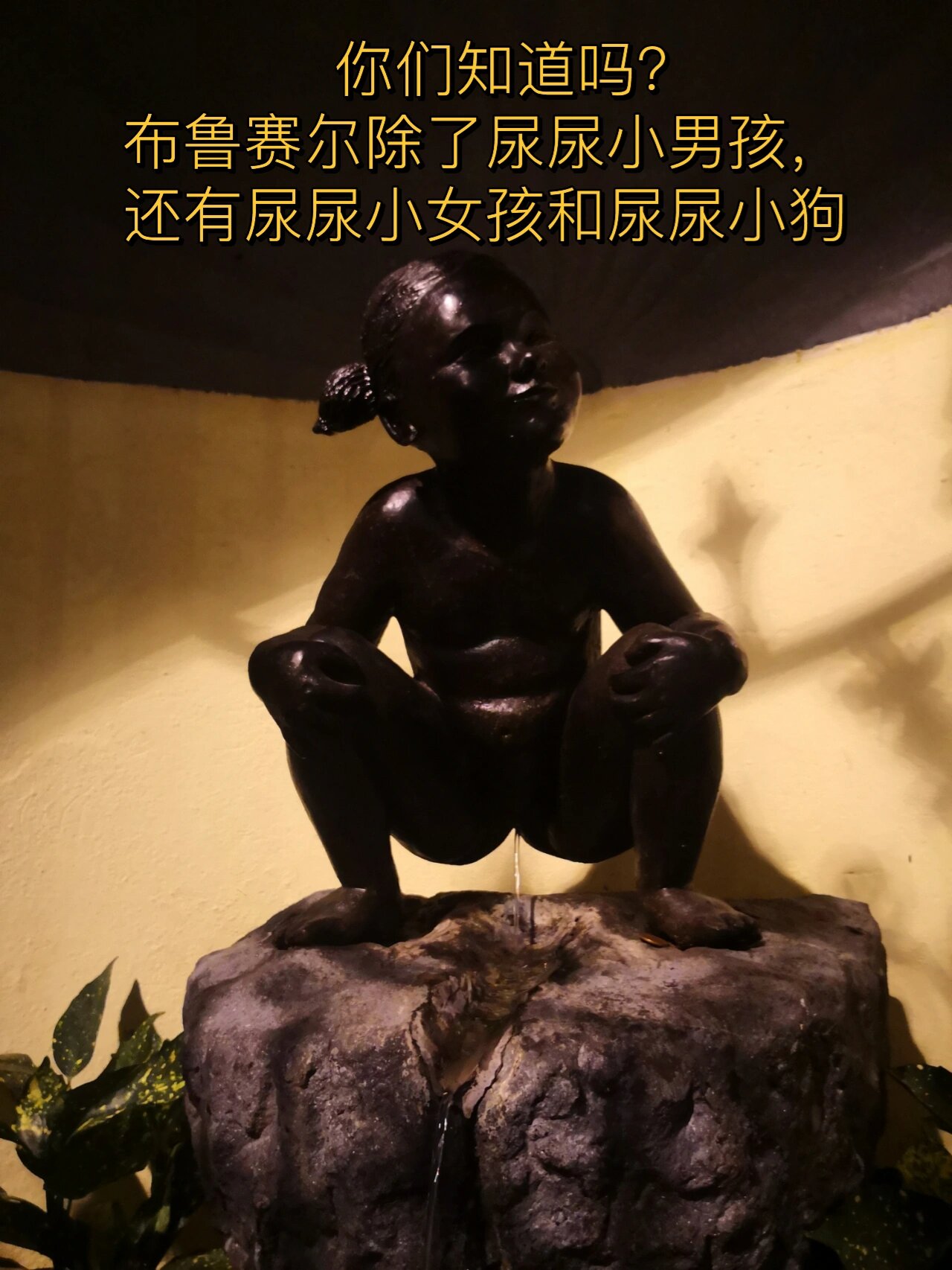 🇫🇷日出日落. 布鲁赛尔尿尿的小女孩