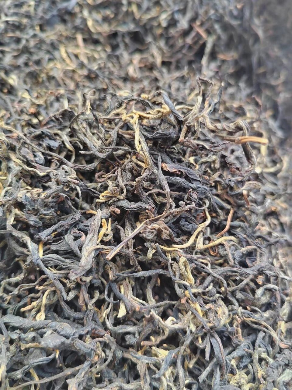 滇红毛峰和滇红的区别,99%的人都踩到的坑!