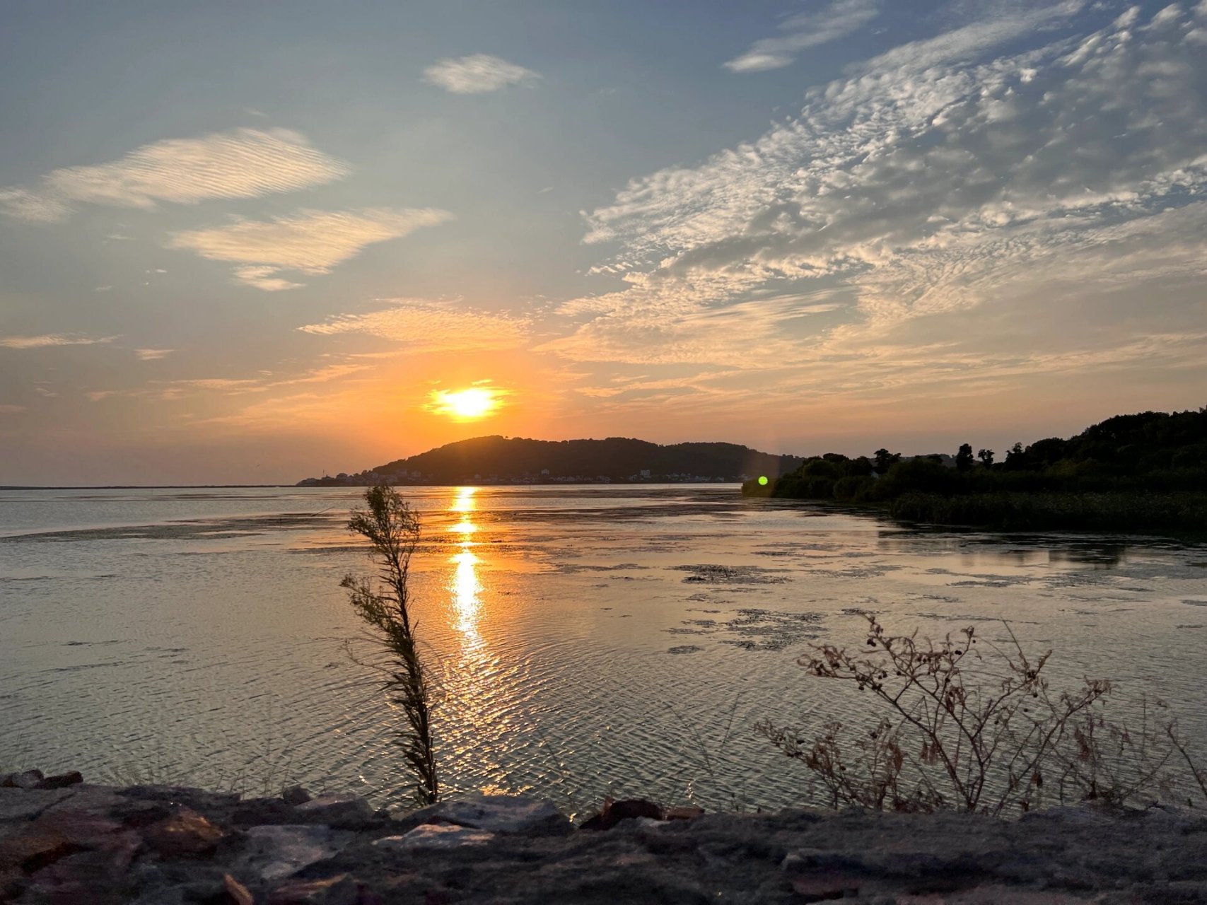 苏州西山 ‖ 阴山岛自驾攻略 #周末去哪儿# 07:～2h,导航到村口大树