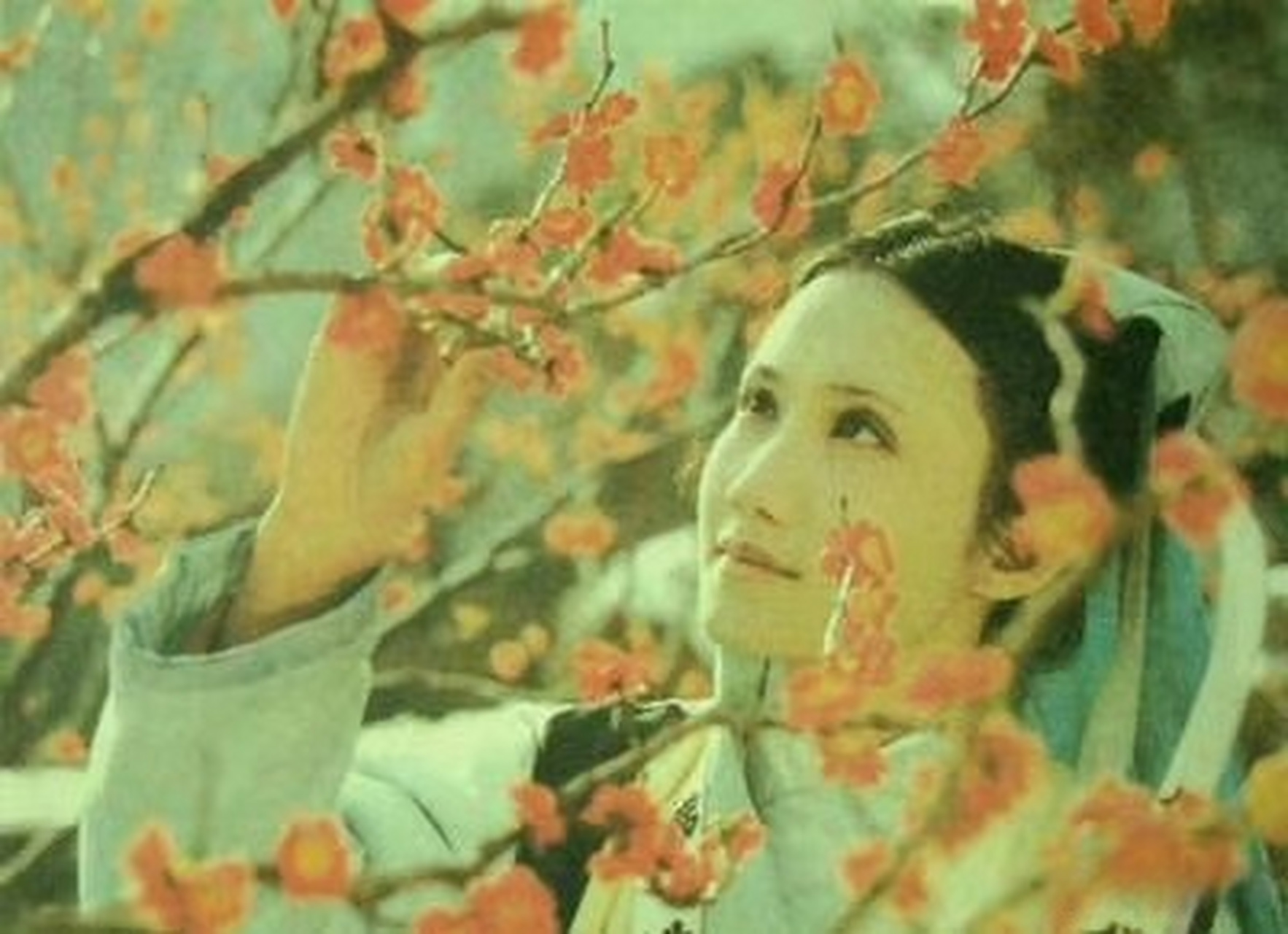 87版电视剧《红楼梦》"妙玉"扮演者姬玉老师.