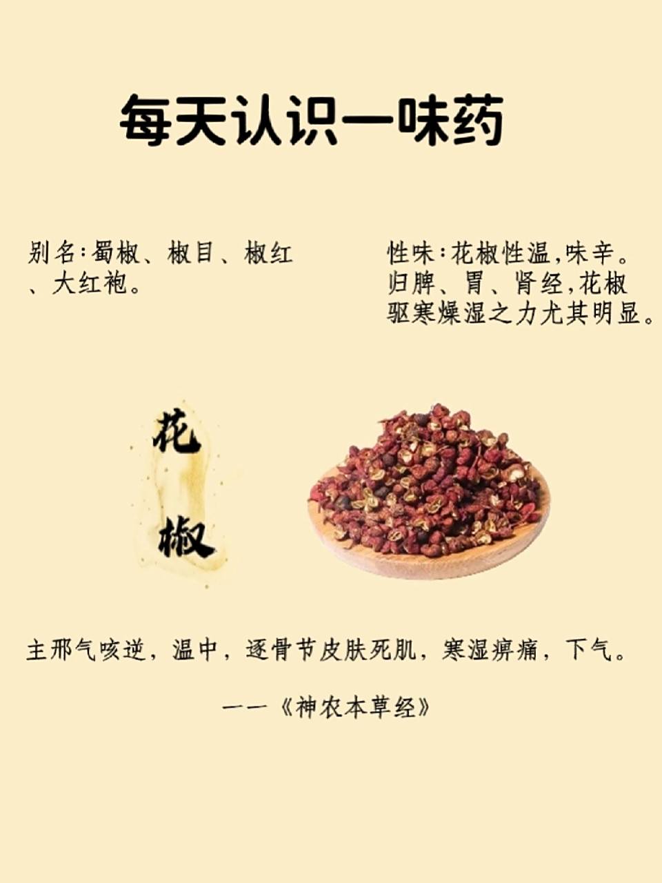 每天认识一味药--花椒 7415功效与作用 温中行气,排寒祛湿,驱寒