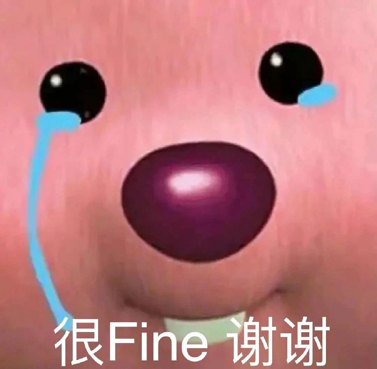 今日份存图表情包5崩溃