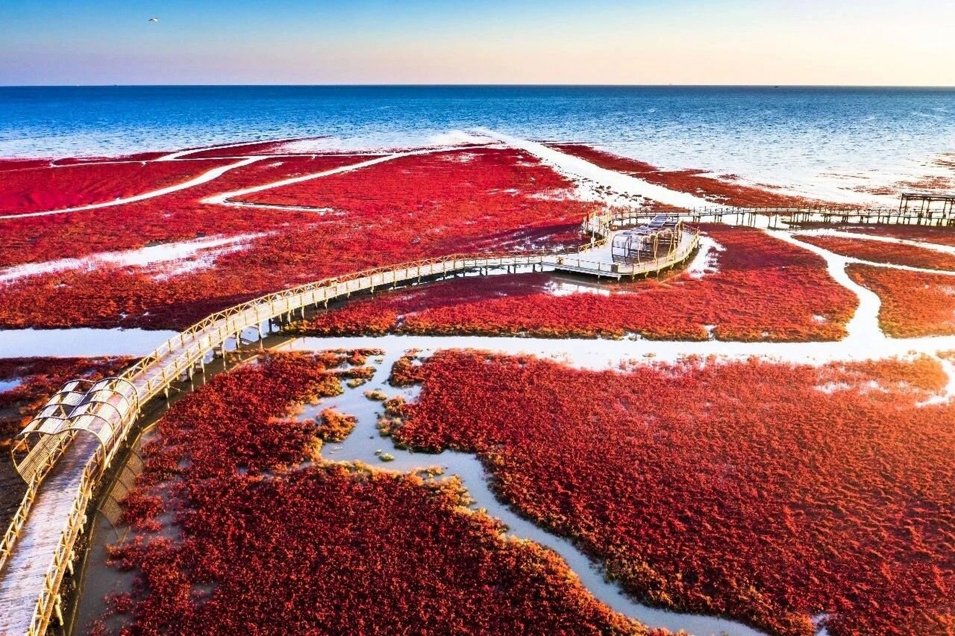 盘锦附近的海边景点图片