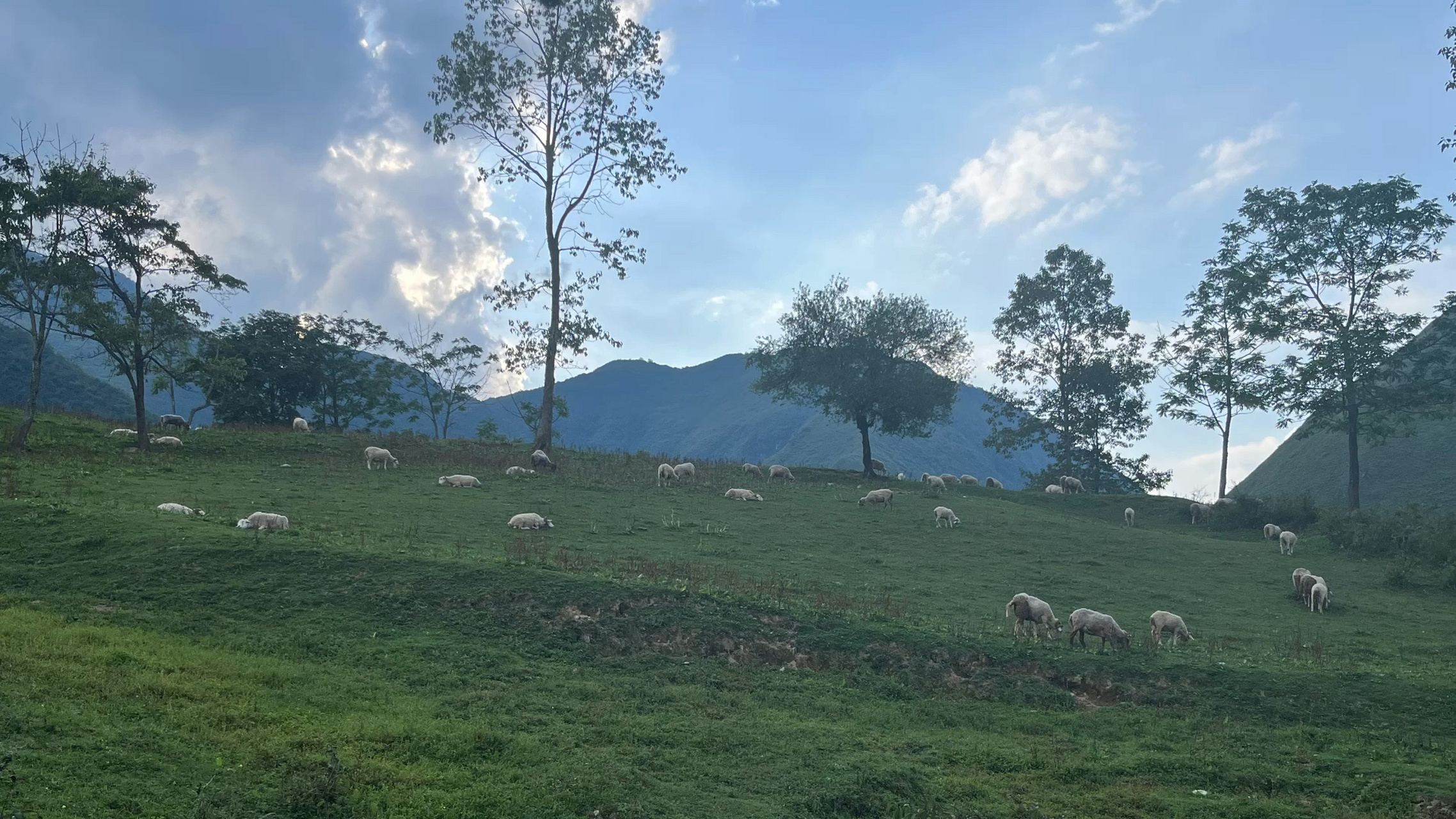 你所不知道的凉山州甘洛县   在凉山州甘洛县三十户村,自驾翻越大片的