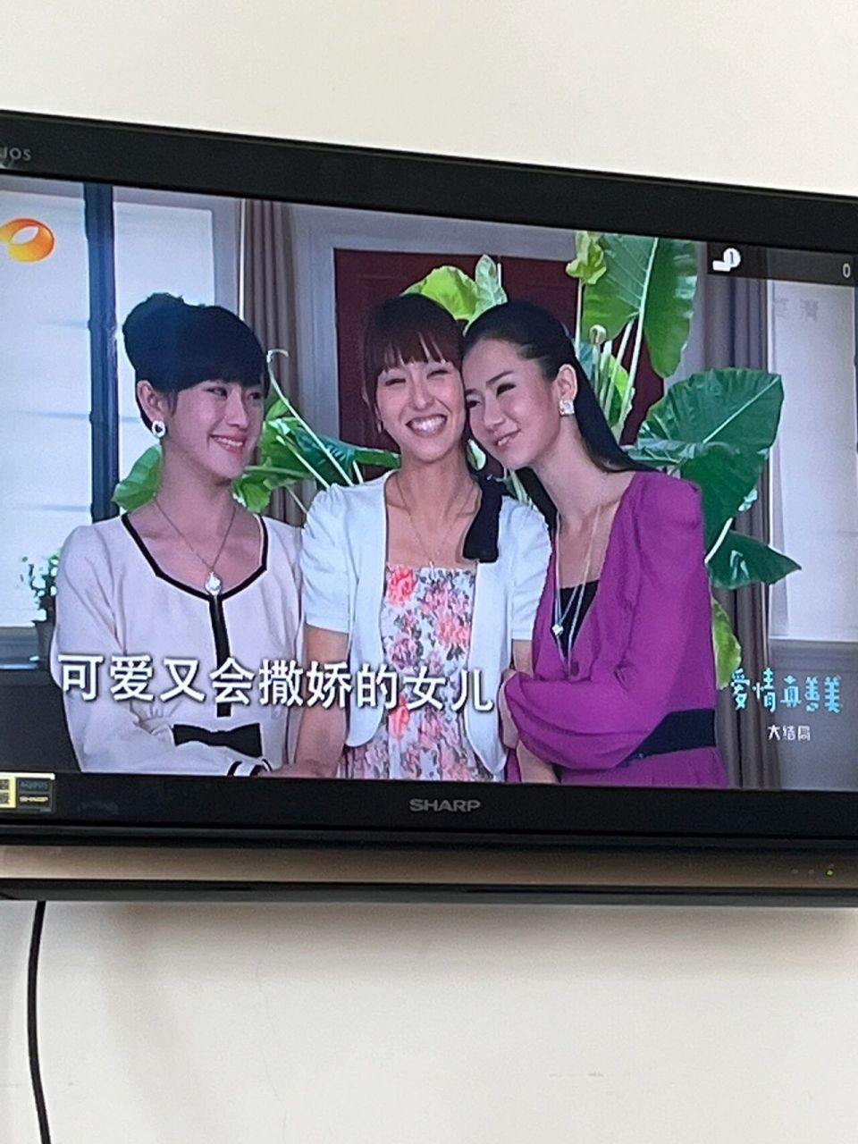 爱情真善美 大家喜欢哪对? 我喜欢严格和天美0606