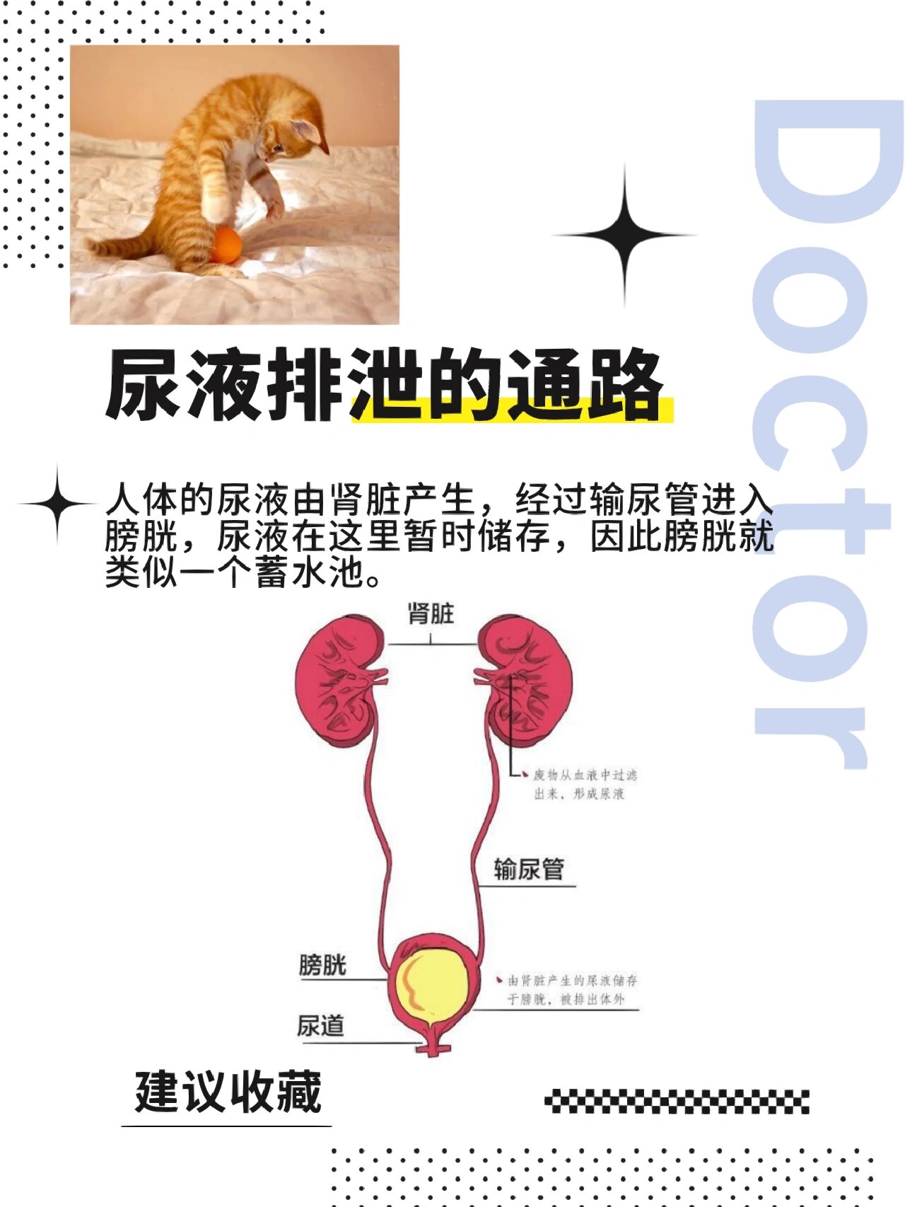 憋尿膀胱揉肚子憋胀图片