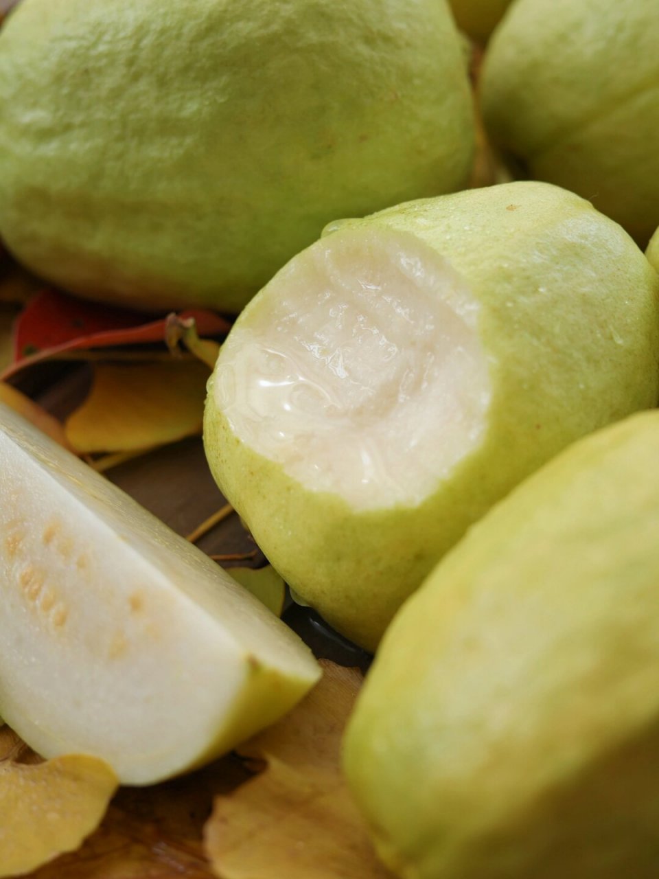 芭乐这款水果最早出现在我视野 是小时候看台湾偶像剧女主爱吃 	 长大