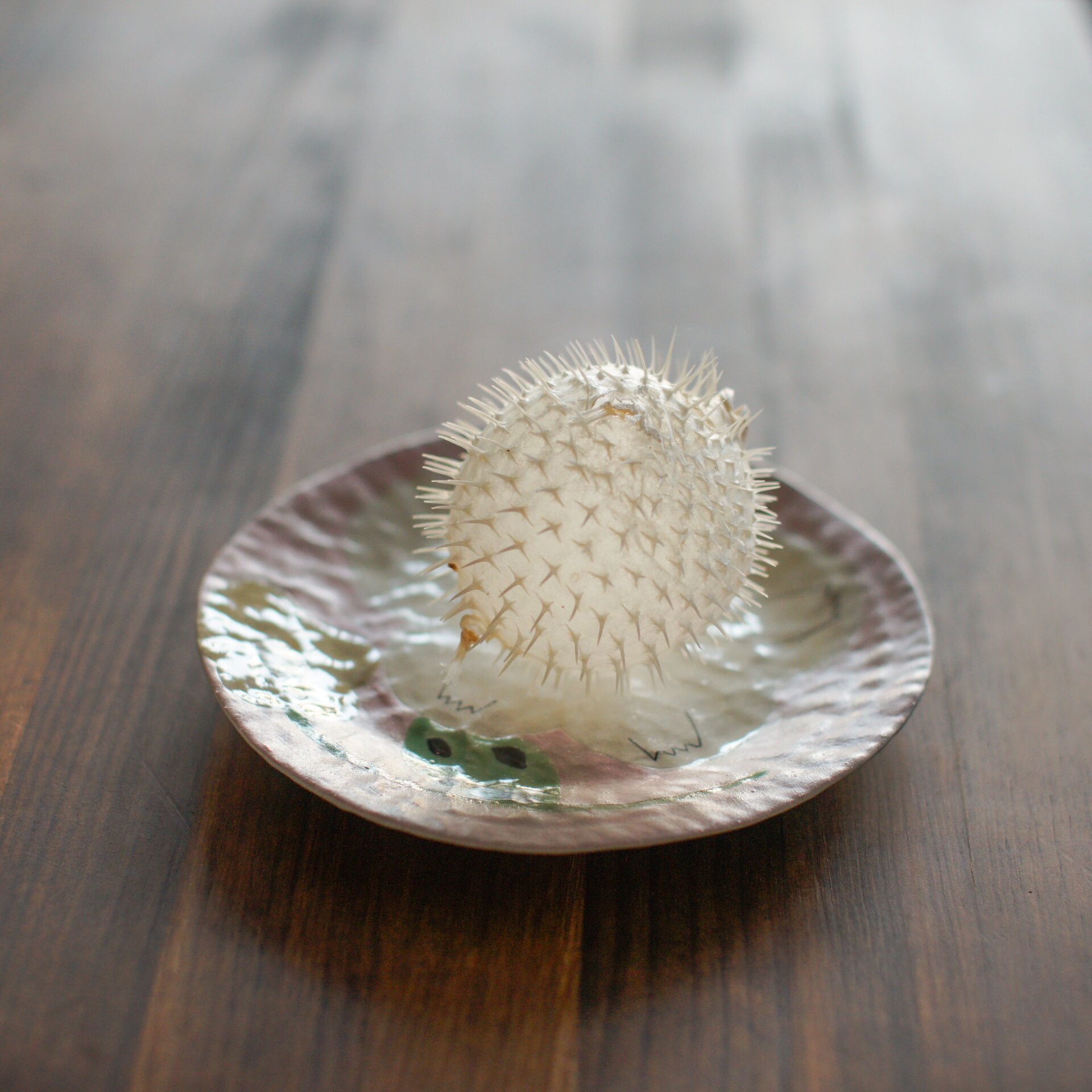 没有人不喜欢小箱豚