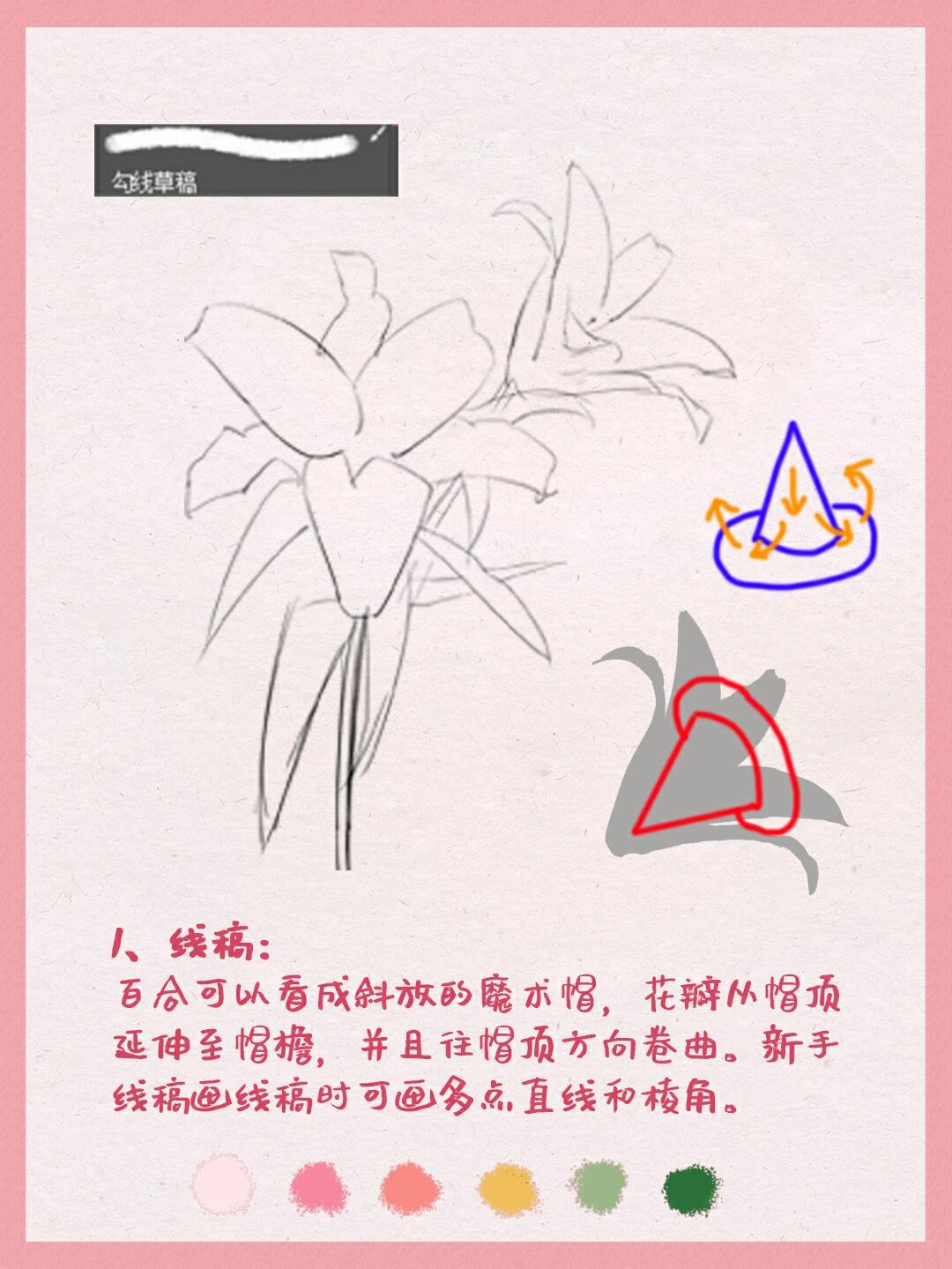 新手插画教程Ⅱ教你画百合花