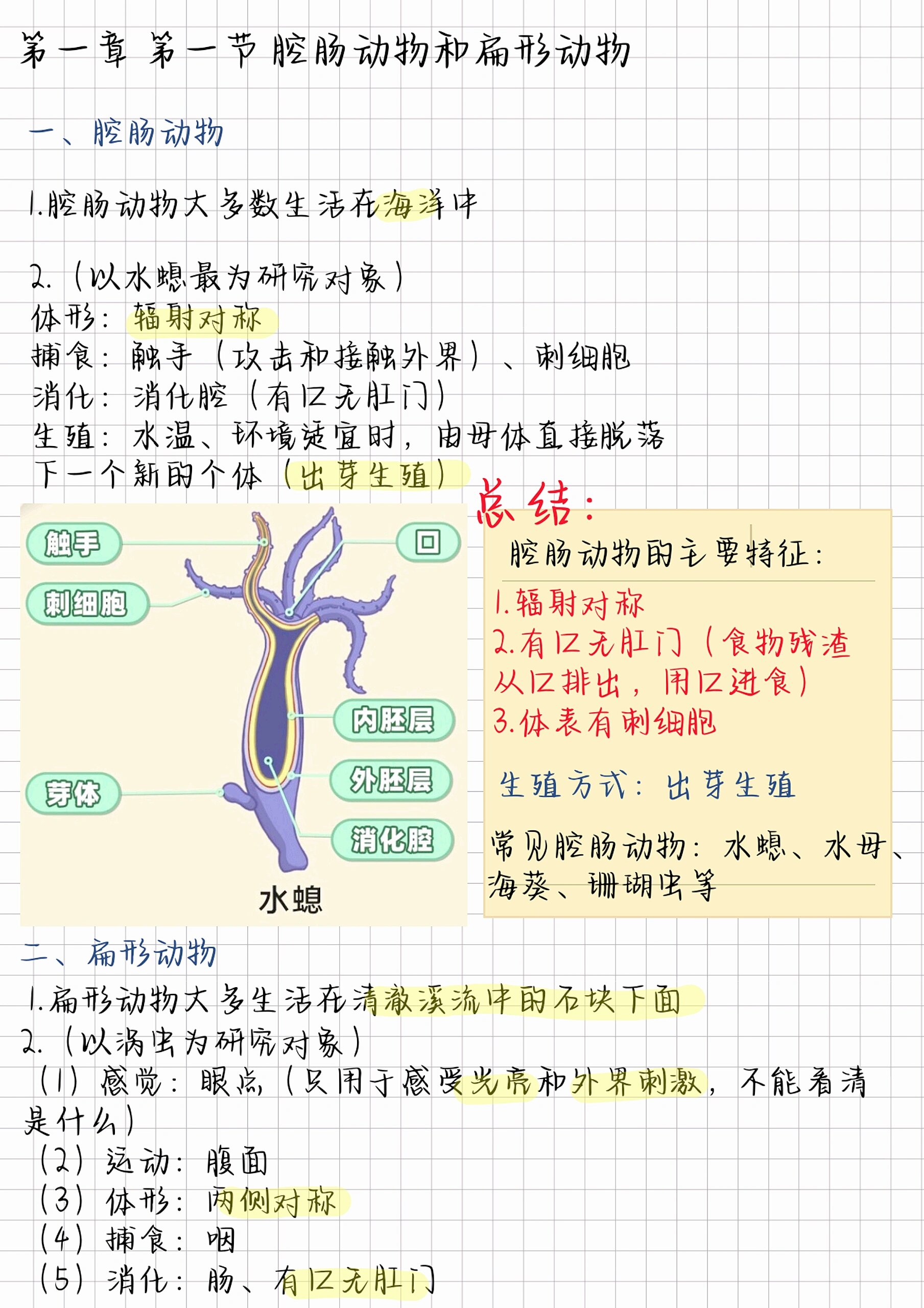 动物器官思维导图图片