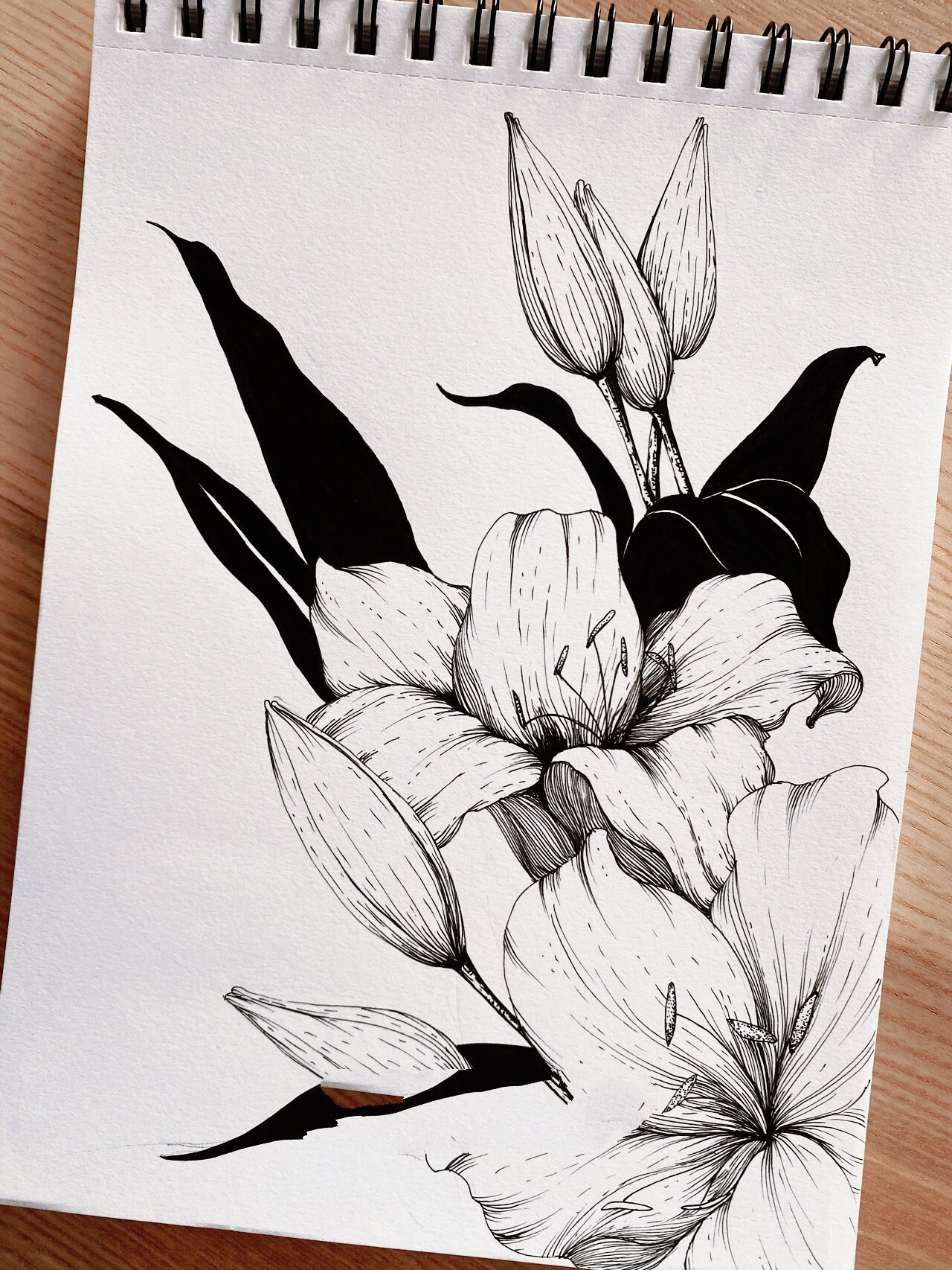 黑白线描花卉.百合.百年好合.百事合心意