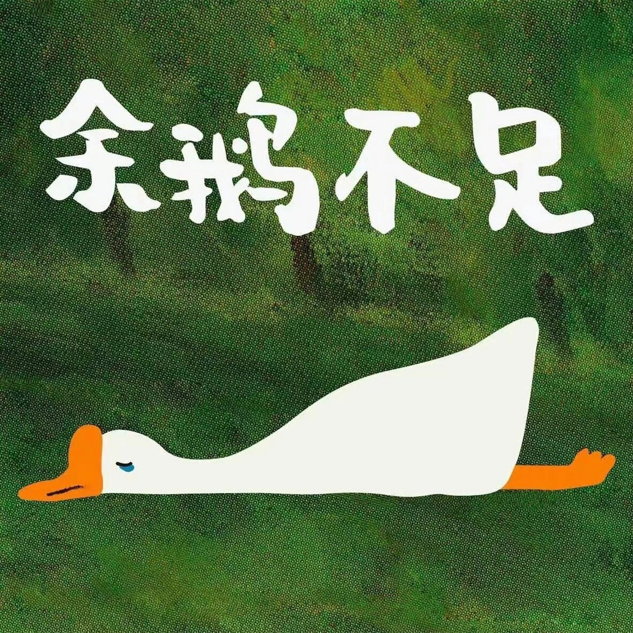 表情包|大鹅 这也太可可爱爱了吧哈哈哈哈 鹅真的栓q