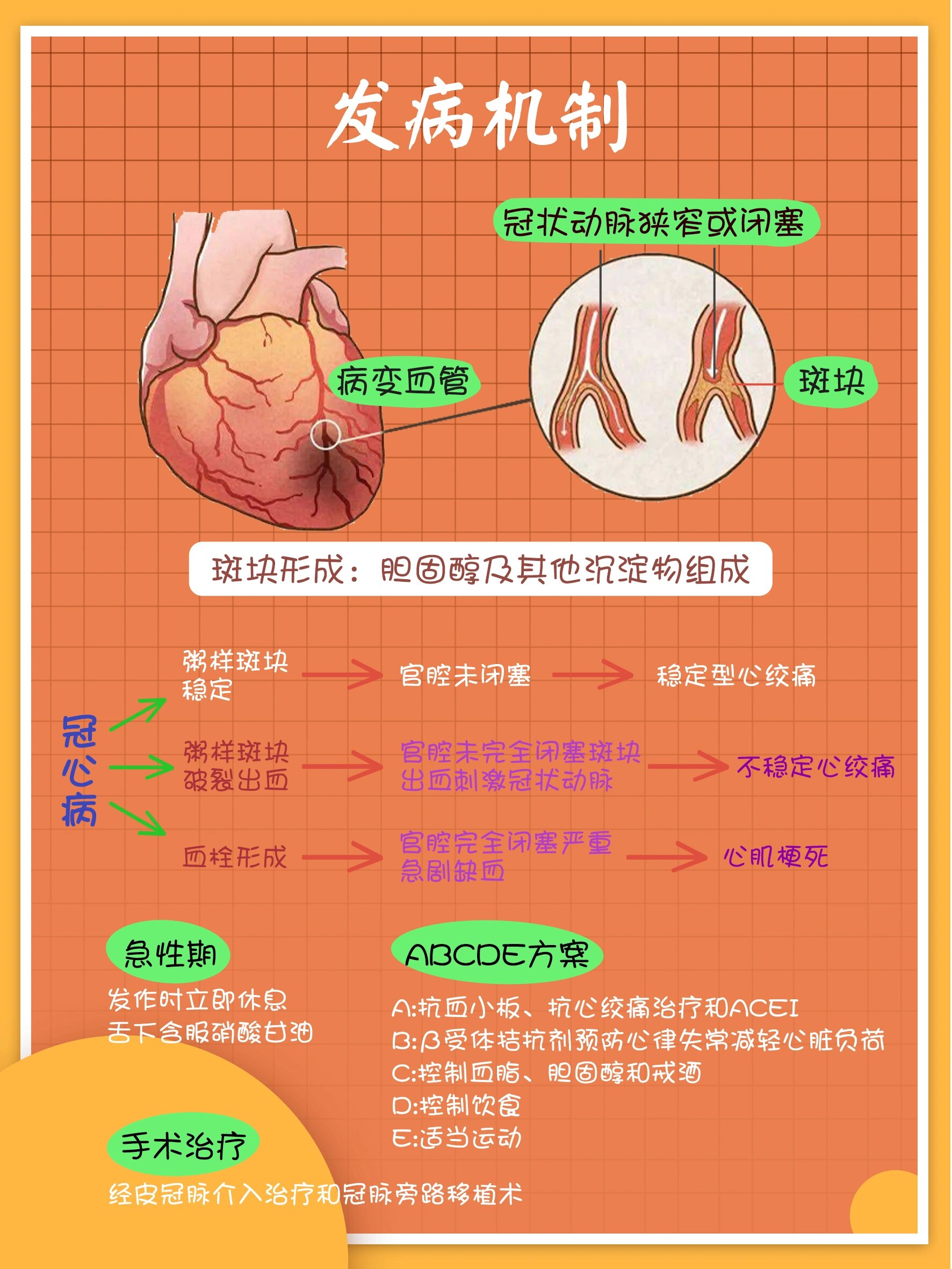 了解冠心病