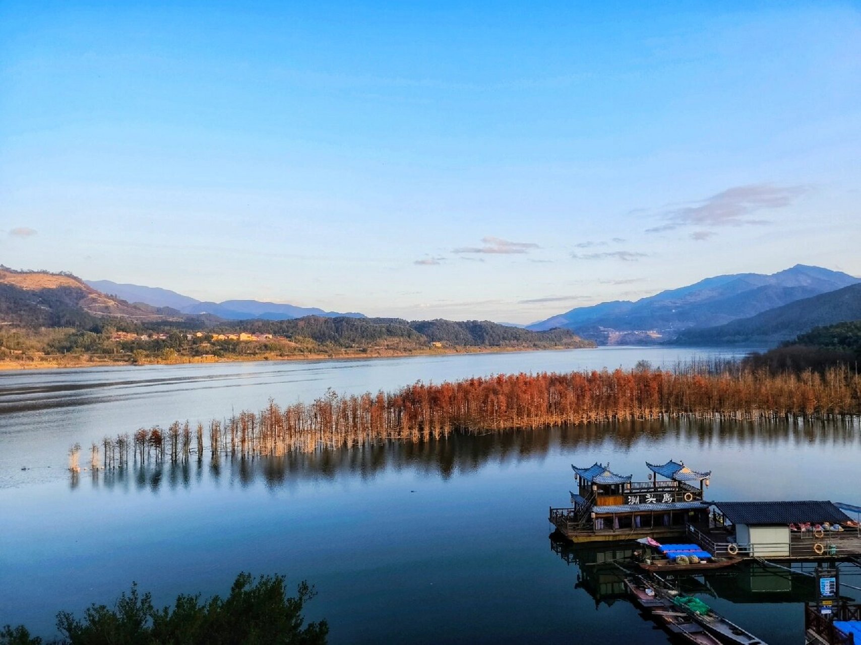 延平景点|斜溪村9493冬日的水杉 冬日的斜溪还有一些少许的水杉