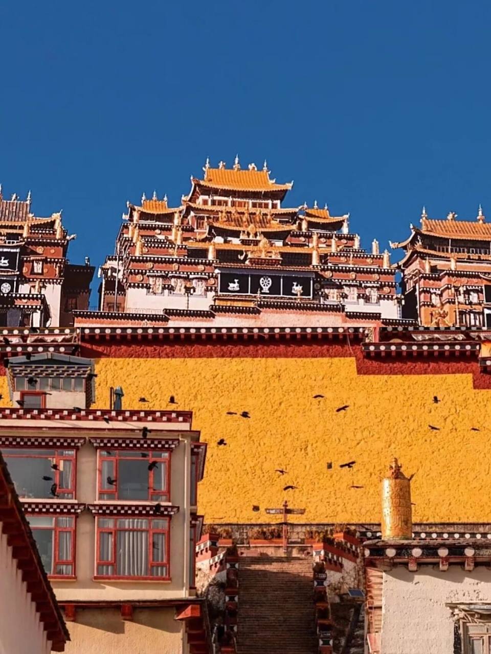 99 99 99松赞林寺指噶丹·松赞林寺,是云南省规模最大的藏传